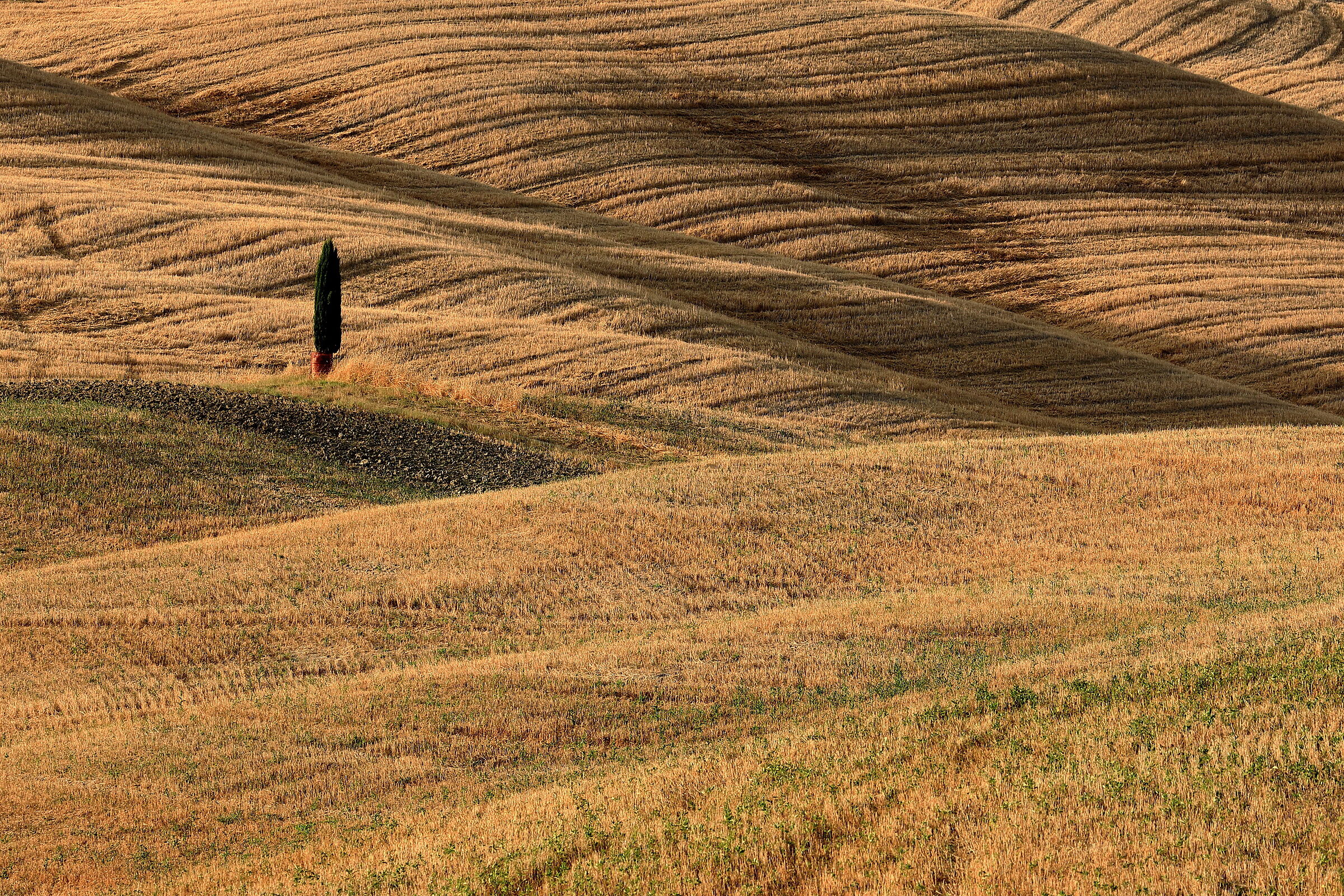 Pienza (Italy)