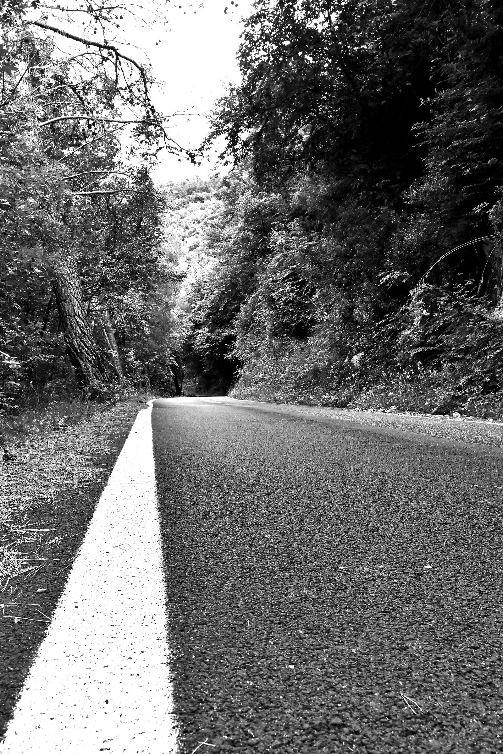Sali in bianco e nero