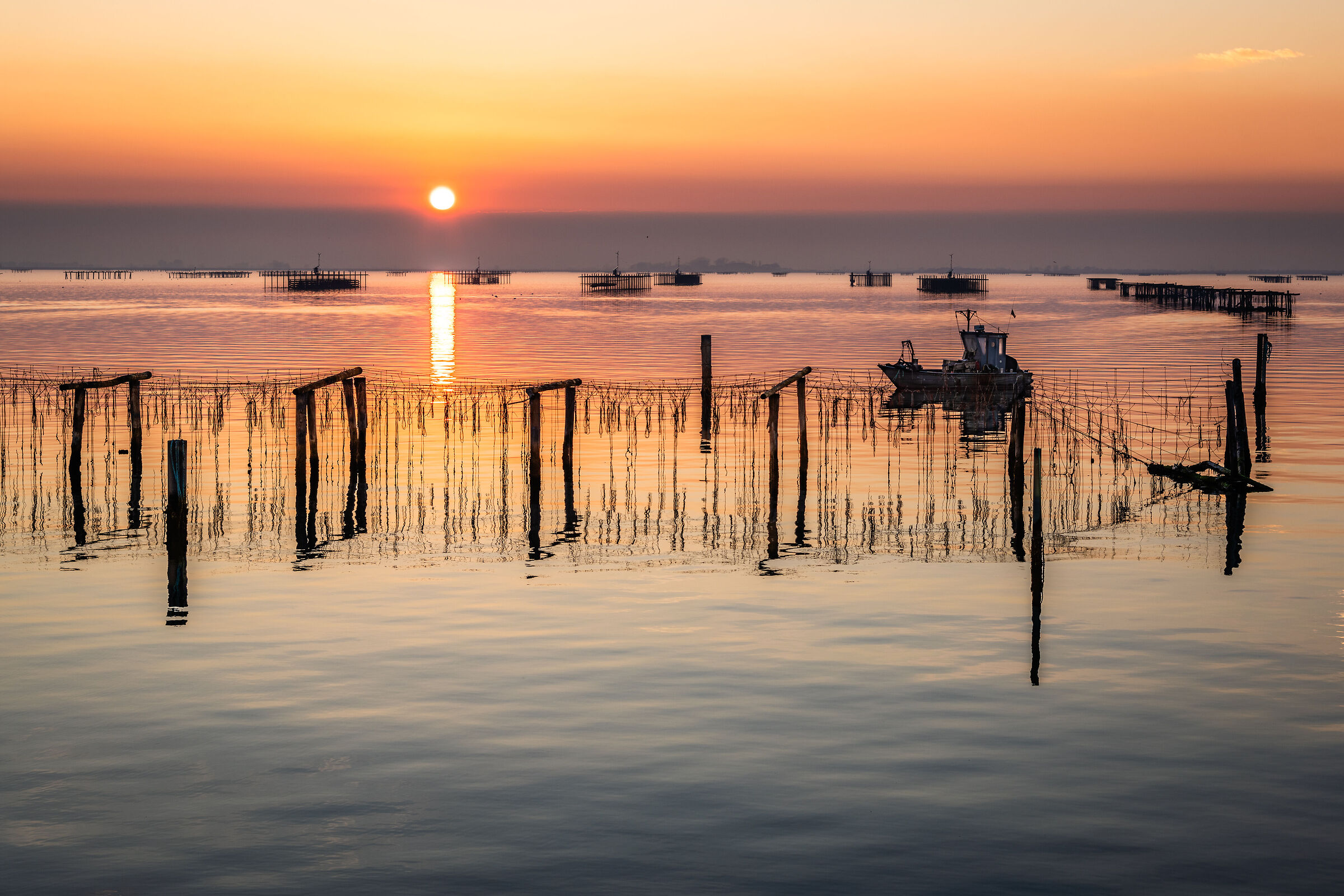 La luce del tramonto