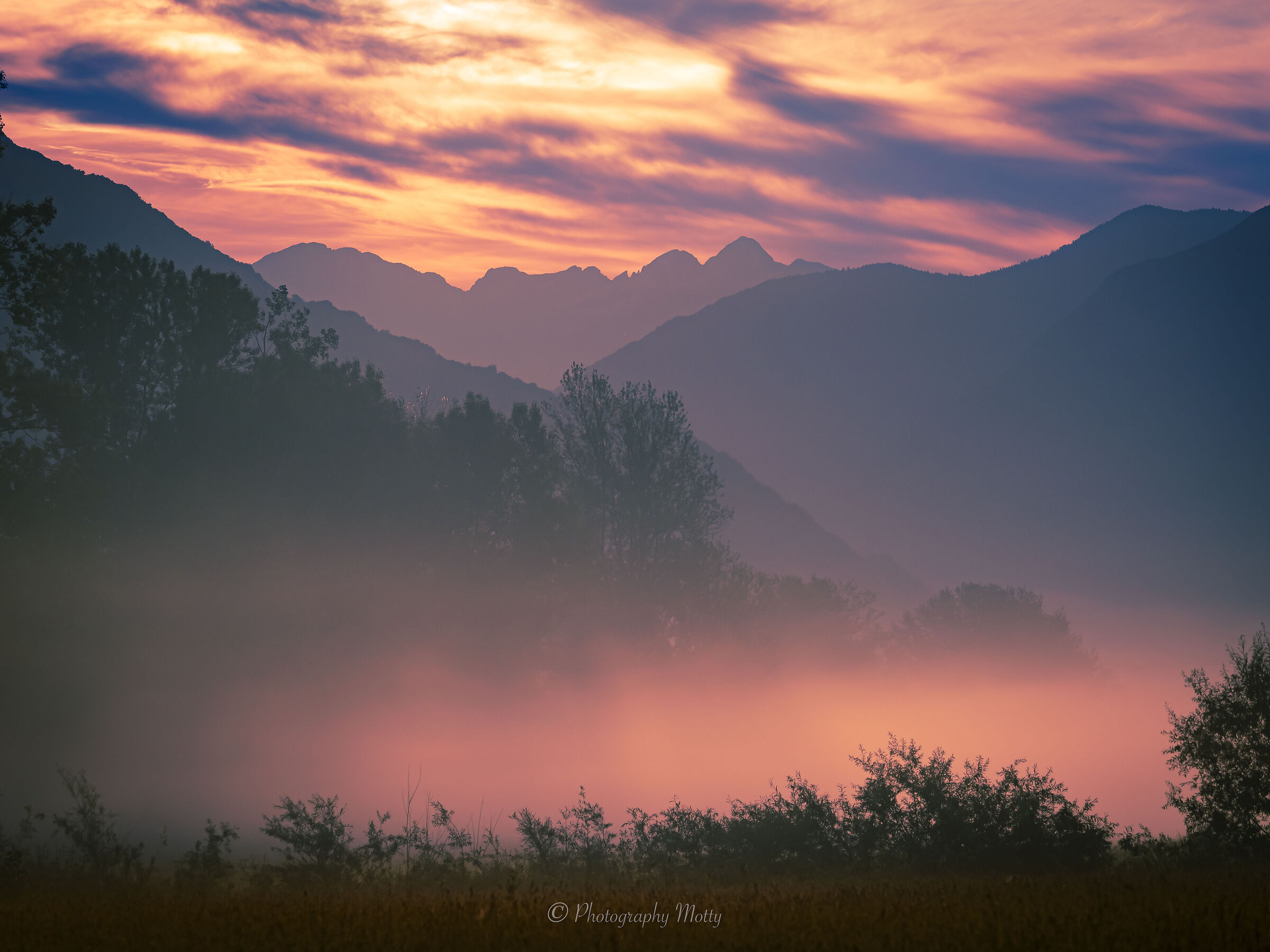 Rosa di sera bel tempo si spera