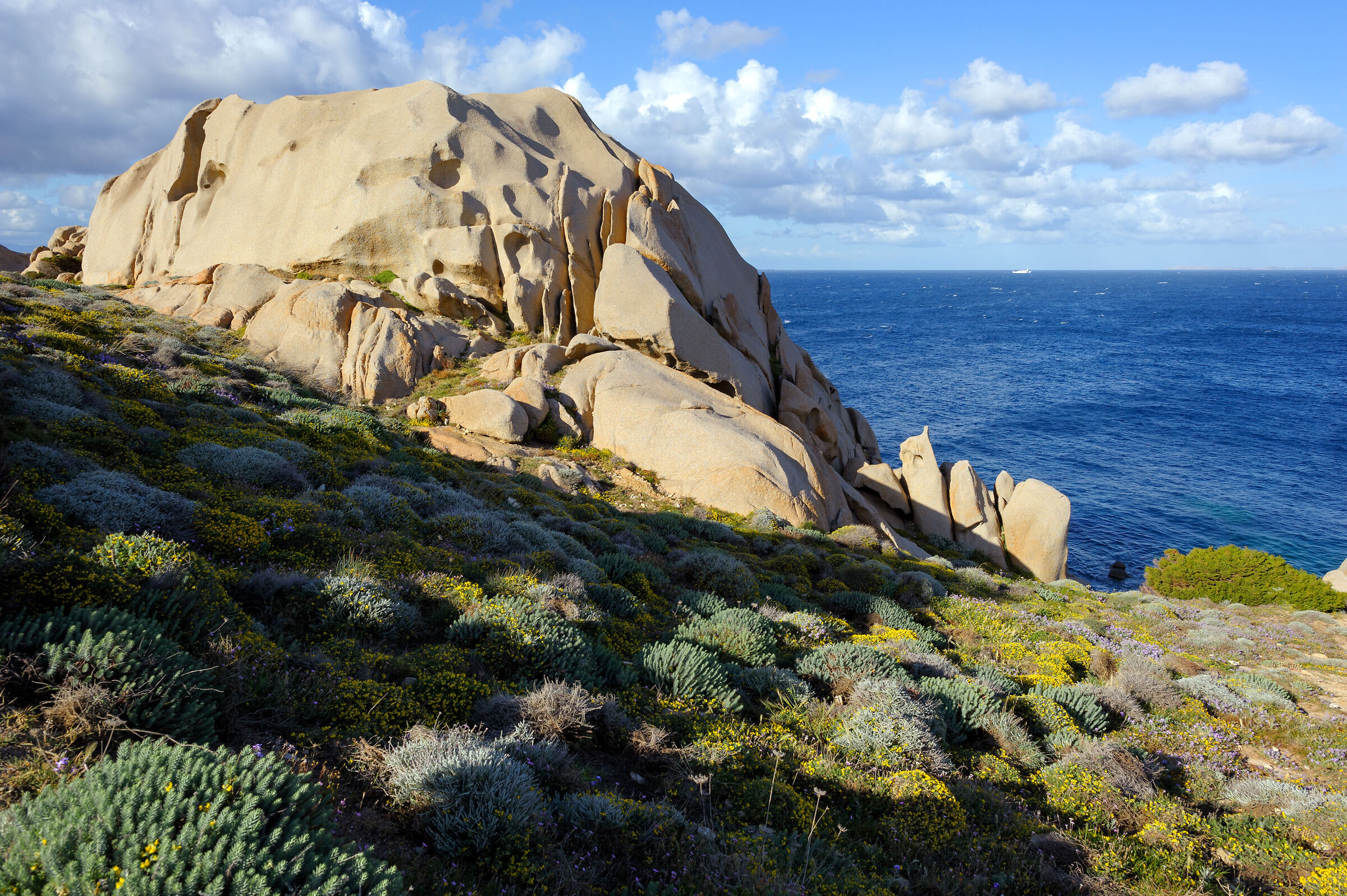 Capo Testa - Sardinia