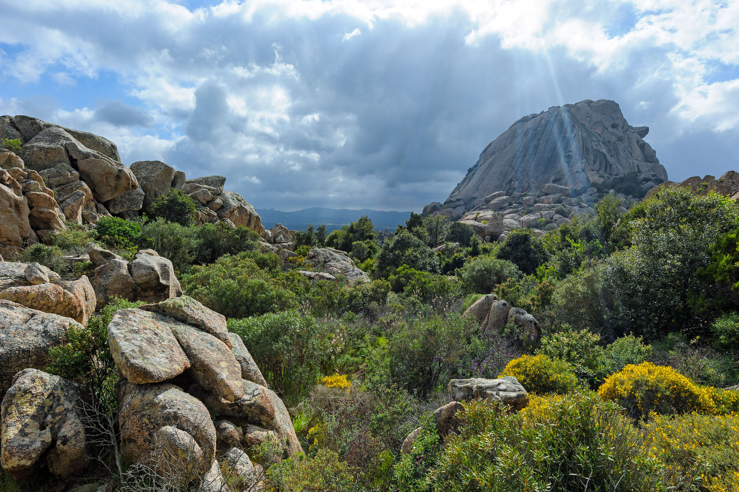 Monte Pulchiana - Sardinia