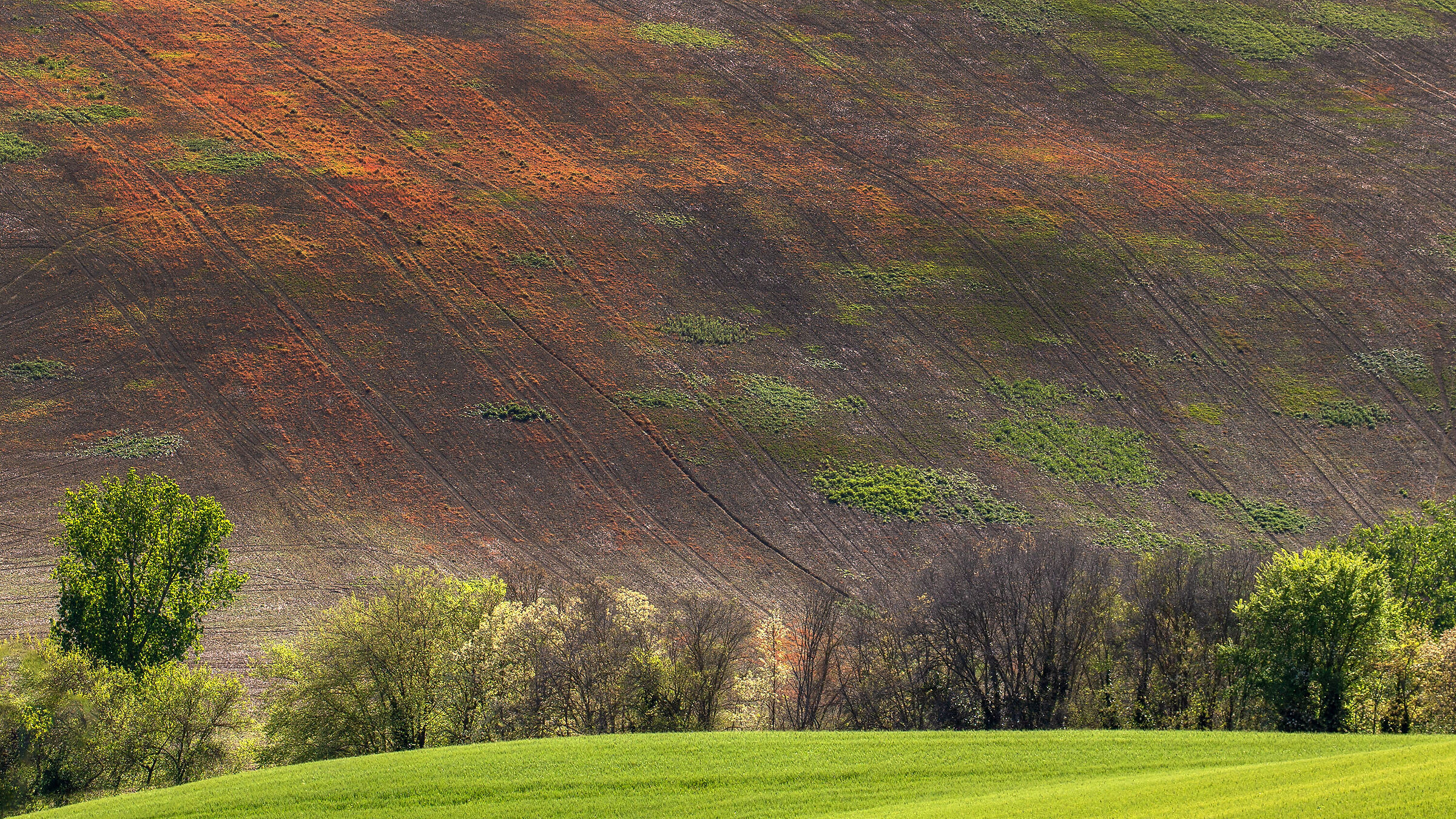 Natures colors