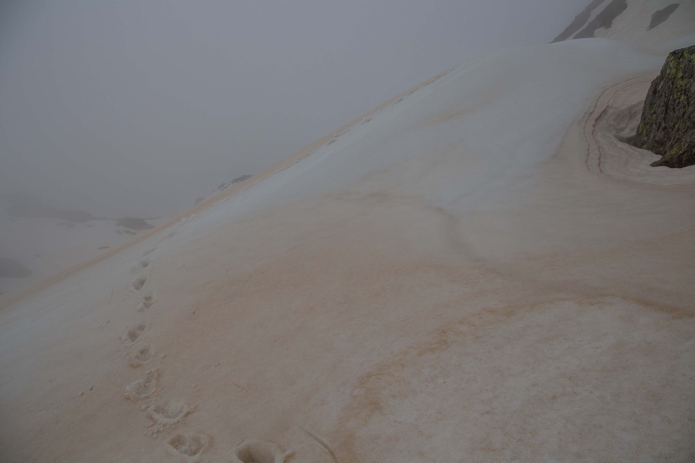 Saharan tracks at Passo Laghisol