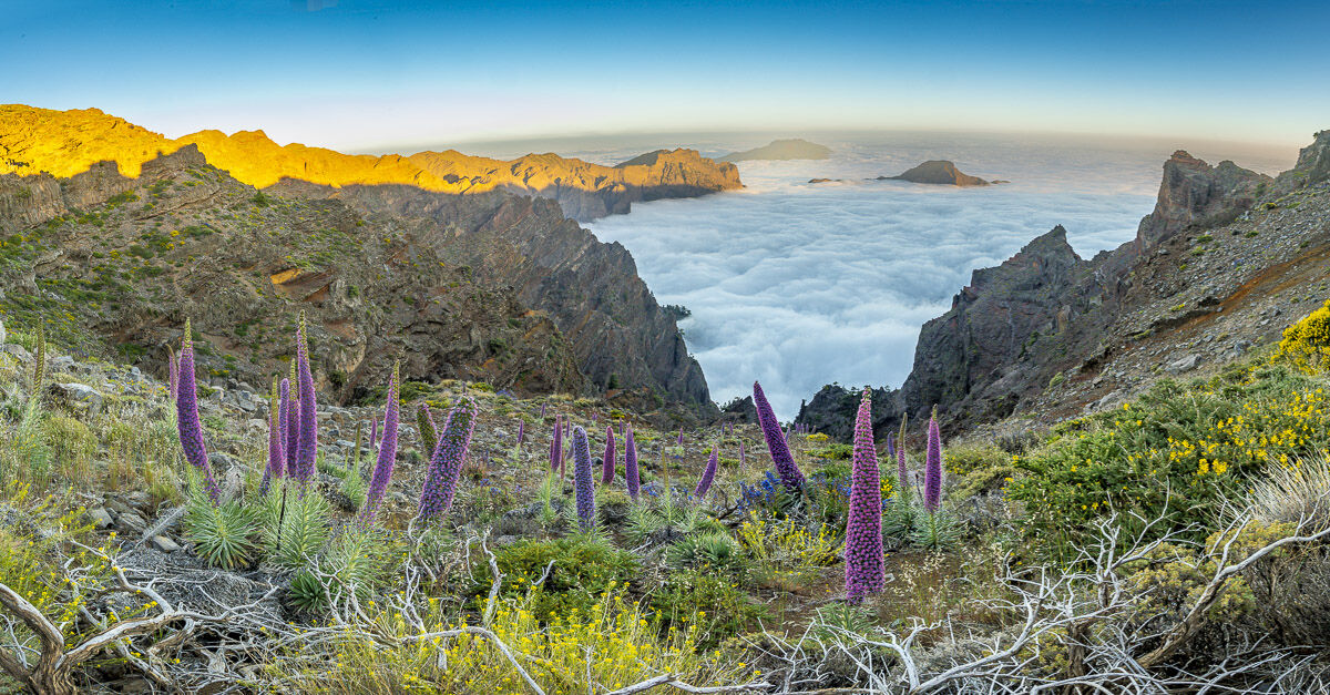 Tajinastes LaPalma e il mare di nuvole