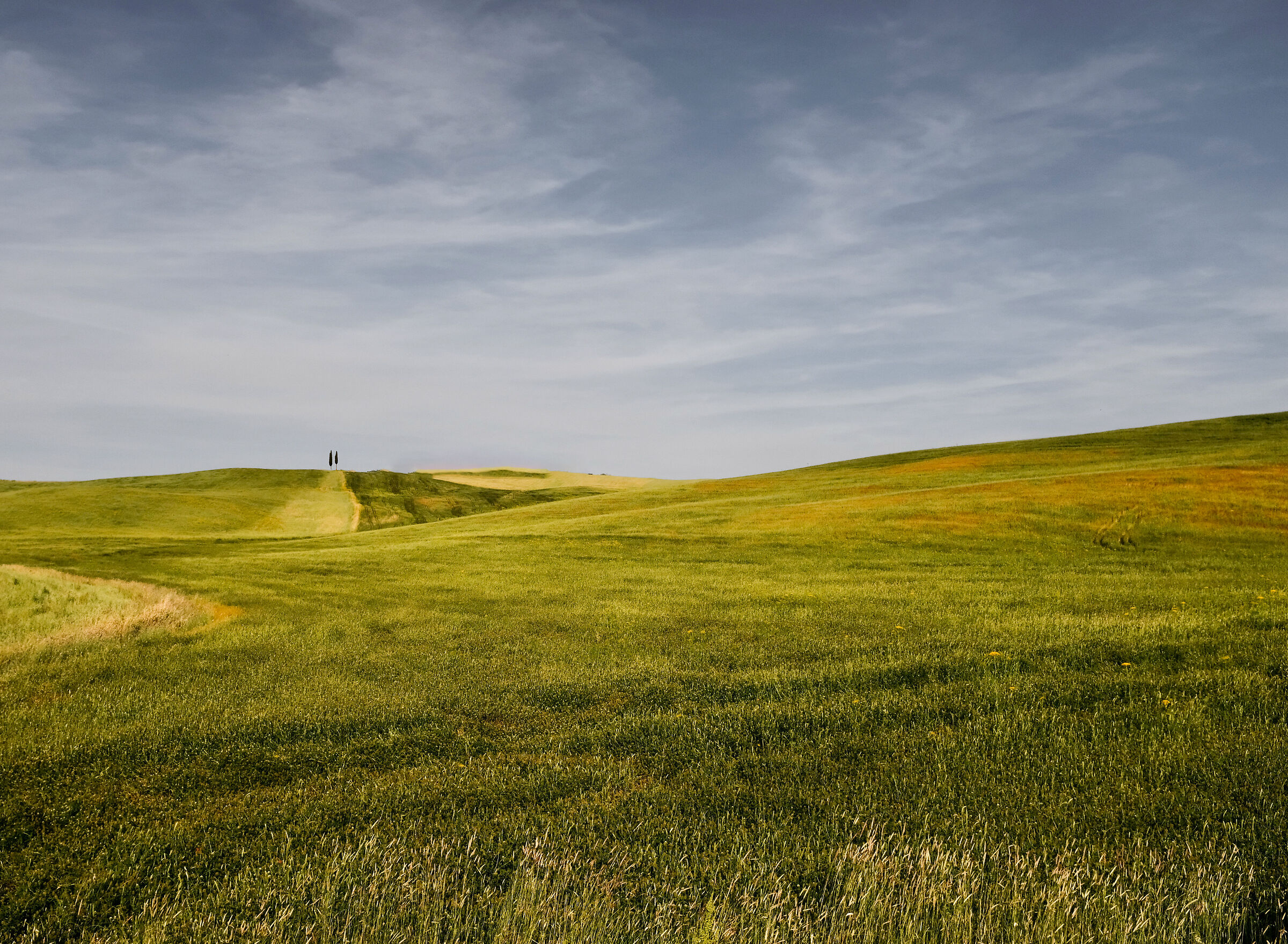 Val D'orcia