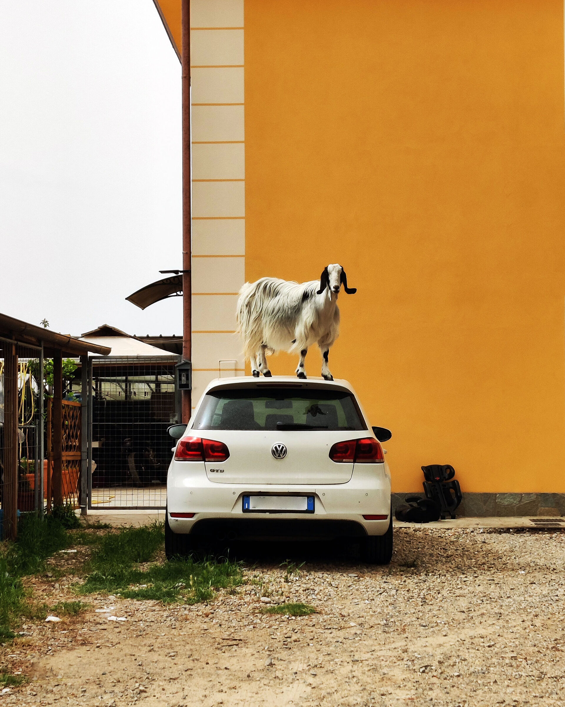 Punto di osservazione.