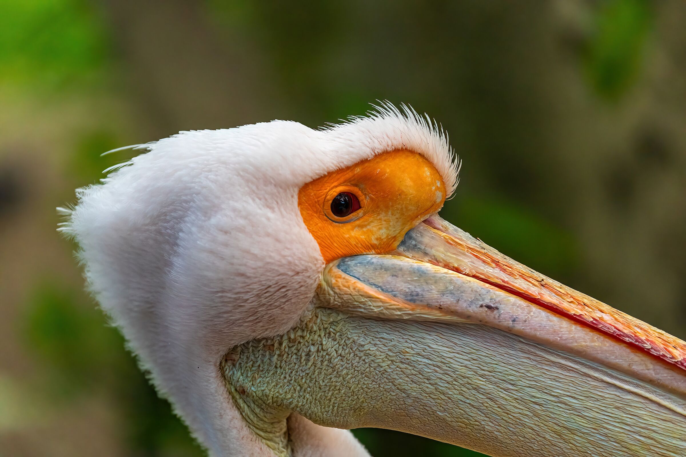 Incontro nei parchi di Londra