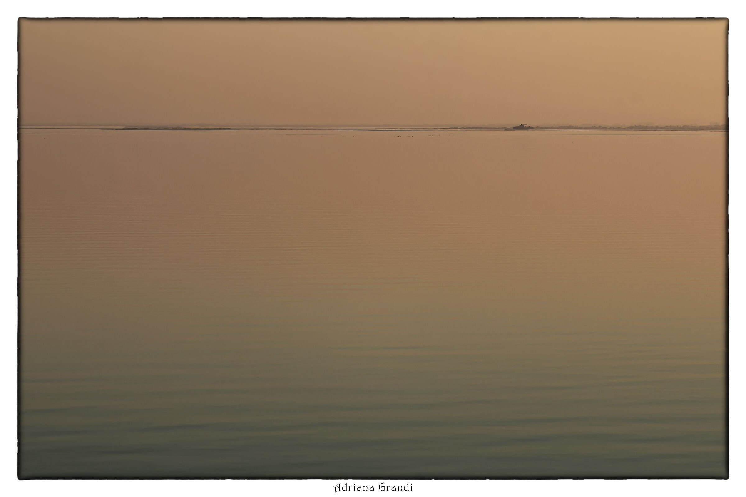 Landscape in the Po Delta