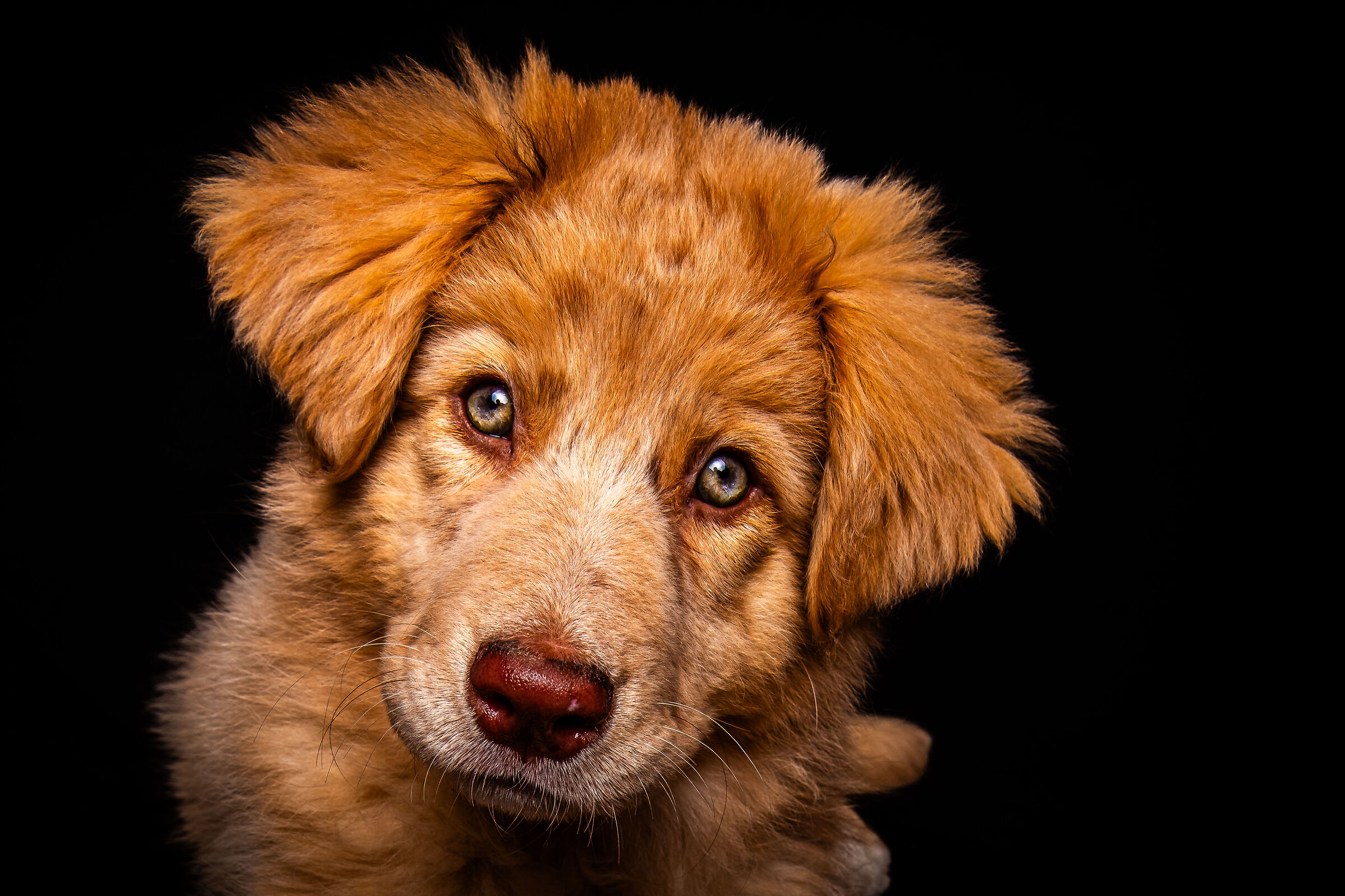 Malù