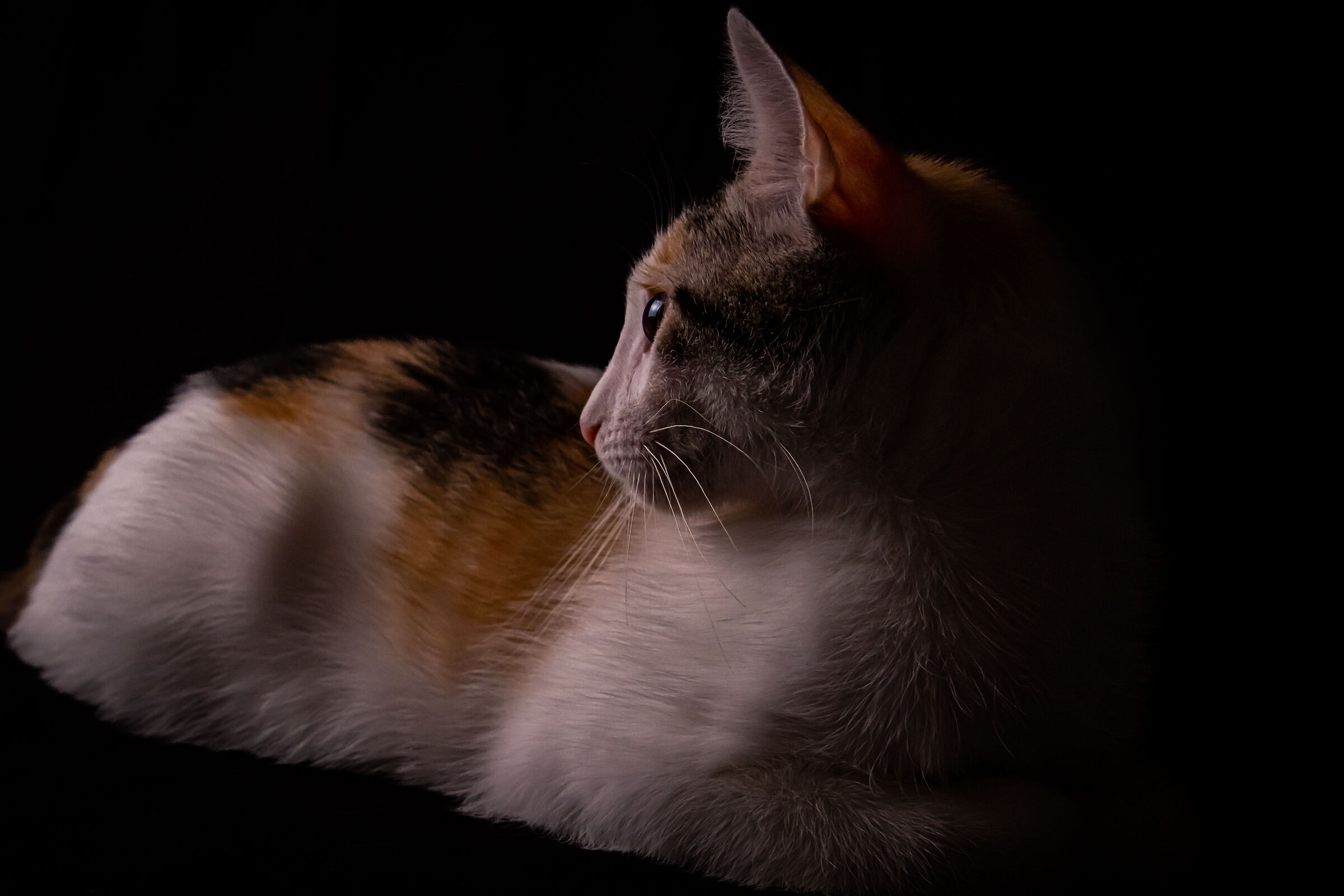 Lua