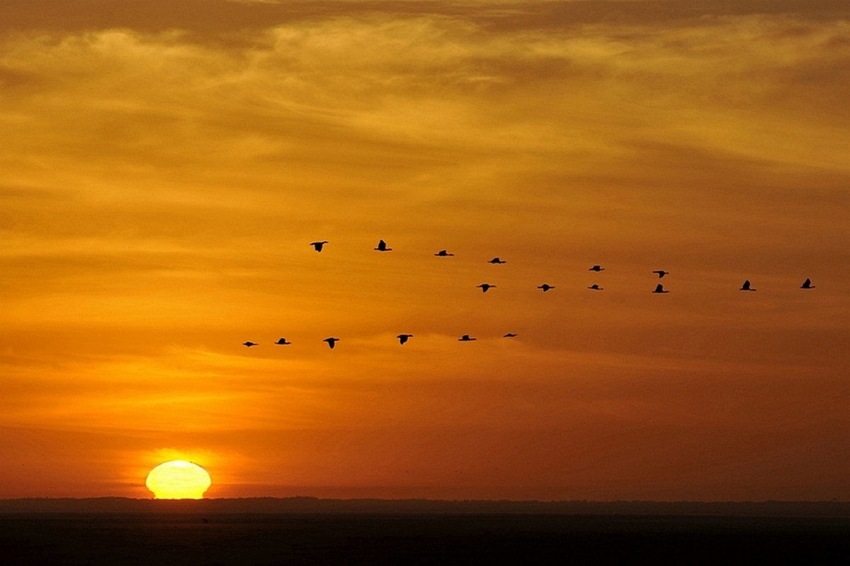 Amboseli sunrise
