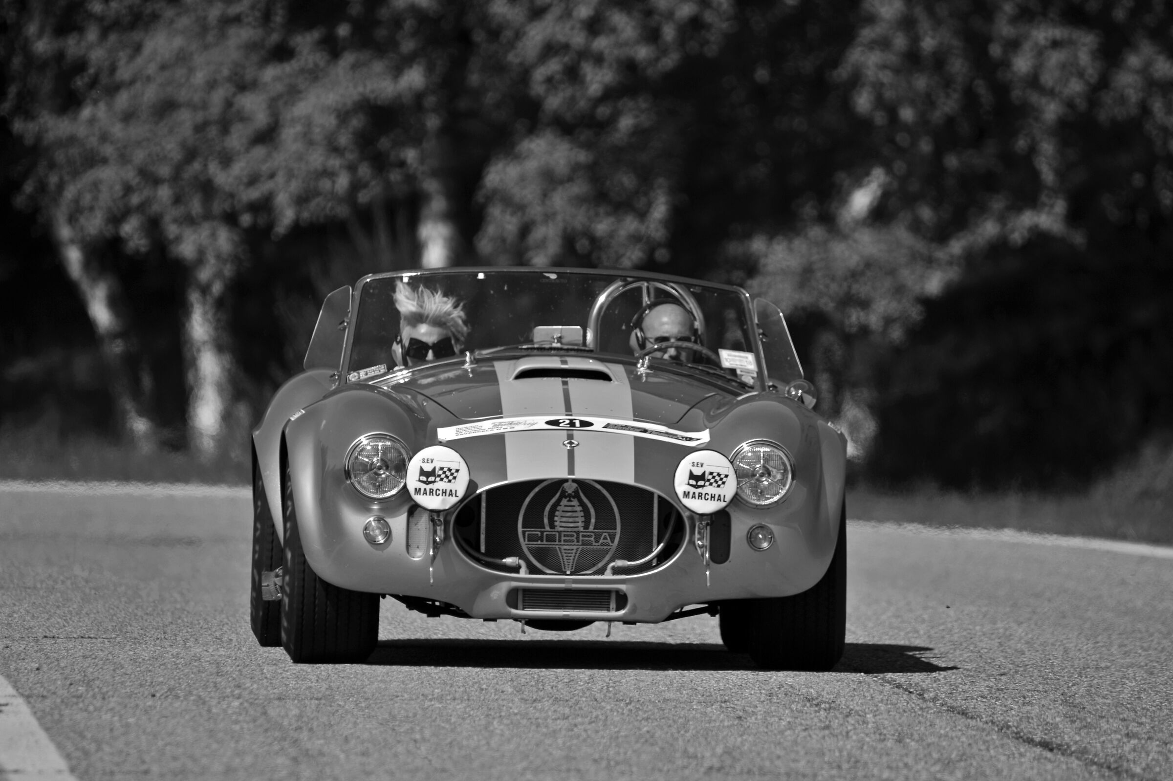 shelby cobra