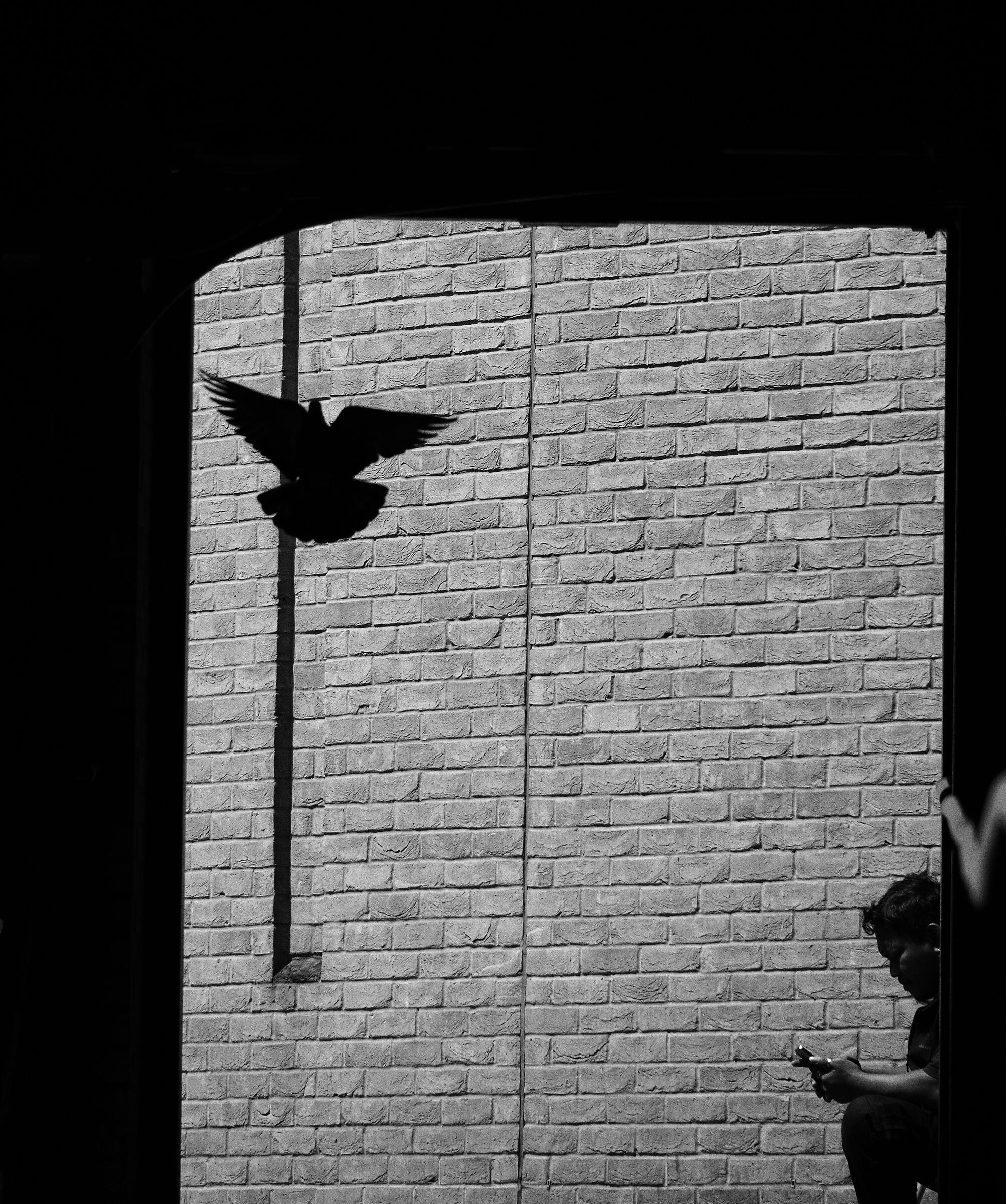 L'uomo e il piccione