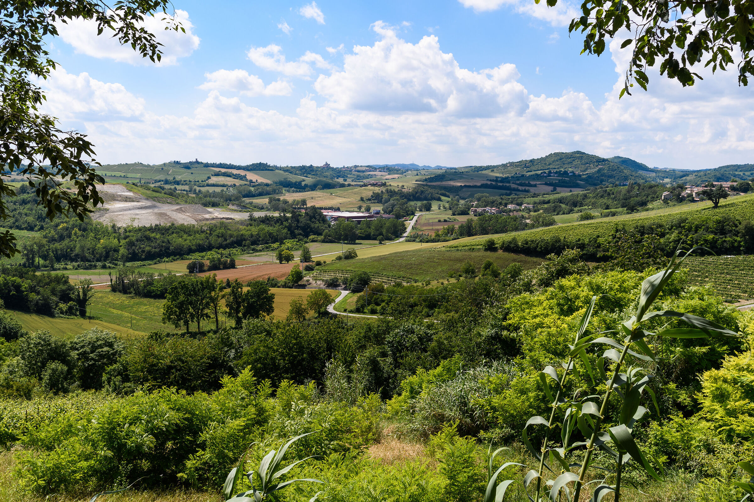 Il Monferrato