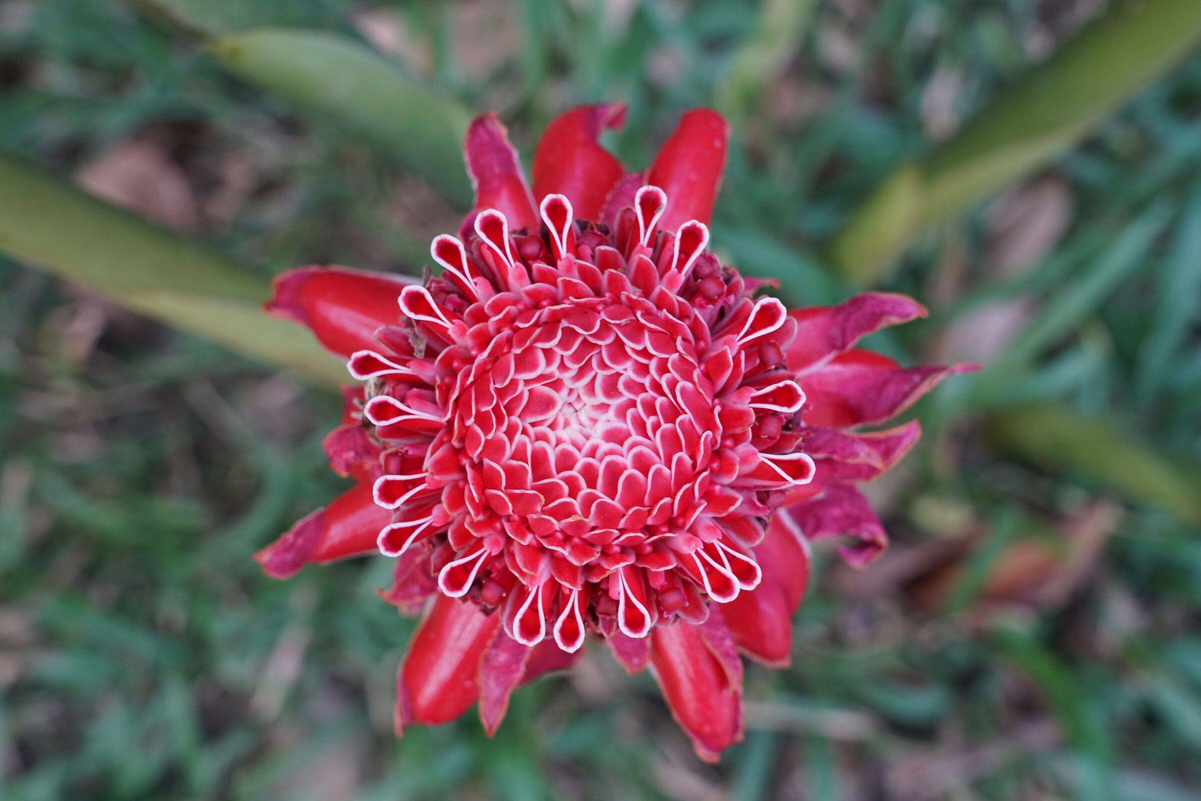 Perfection of nature