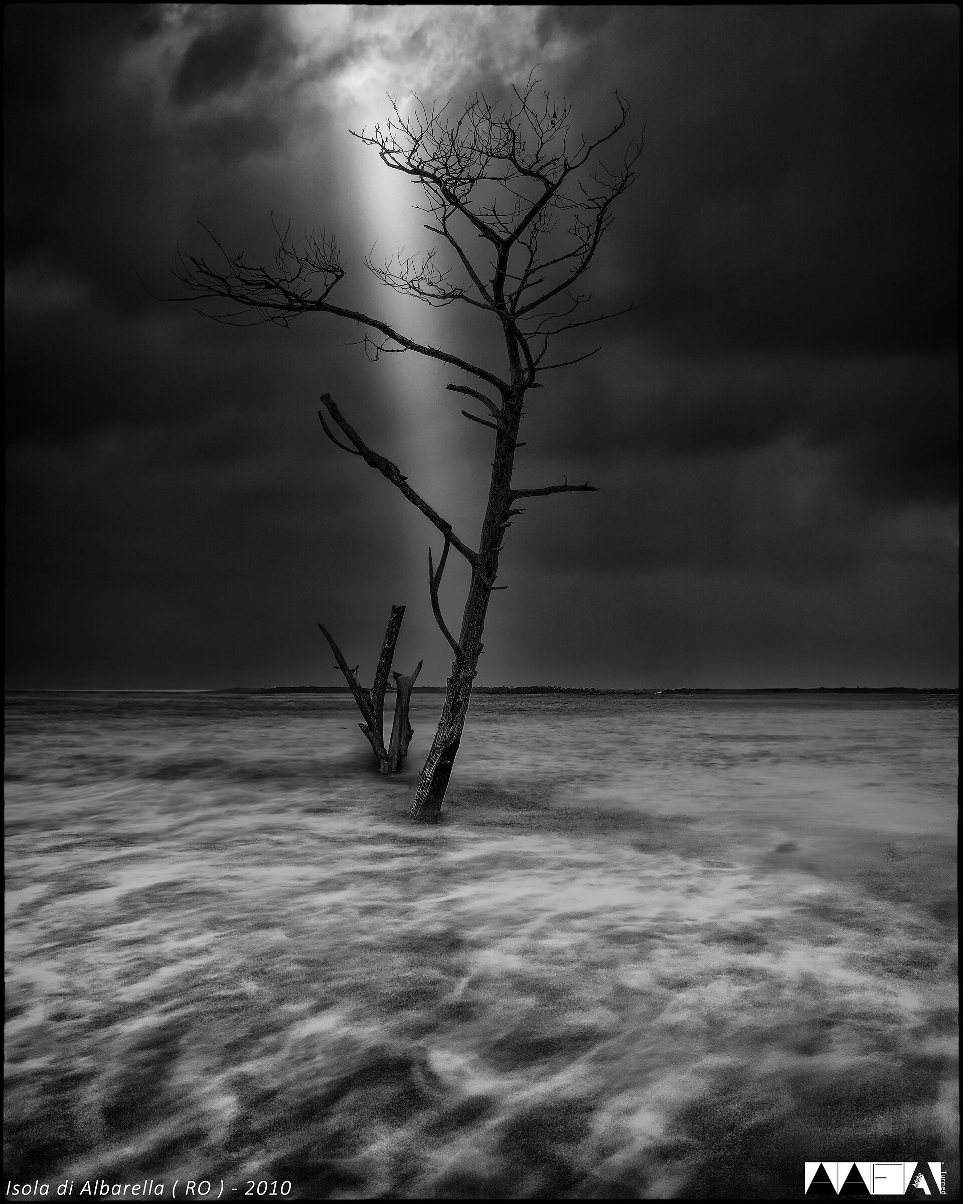 Isola di Albarella (RO)-2010
