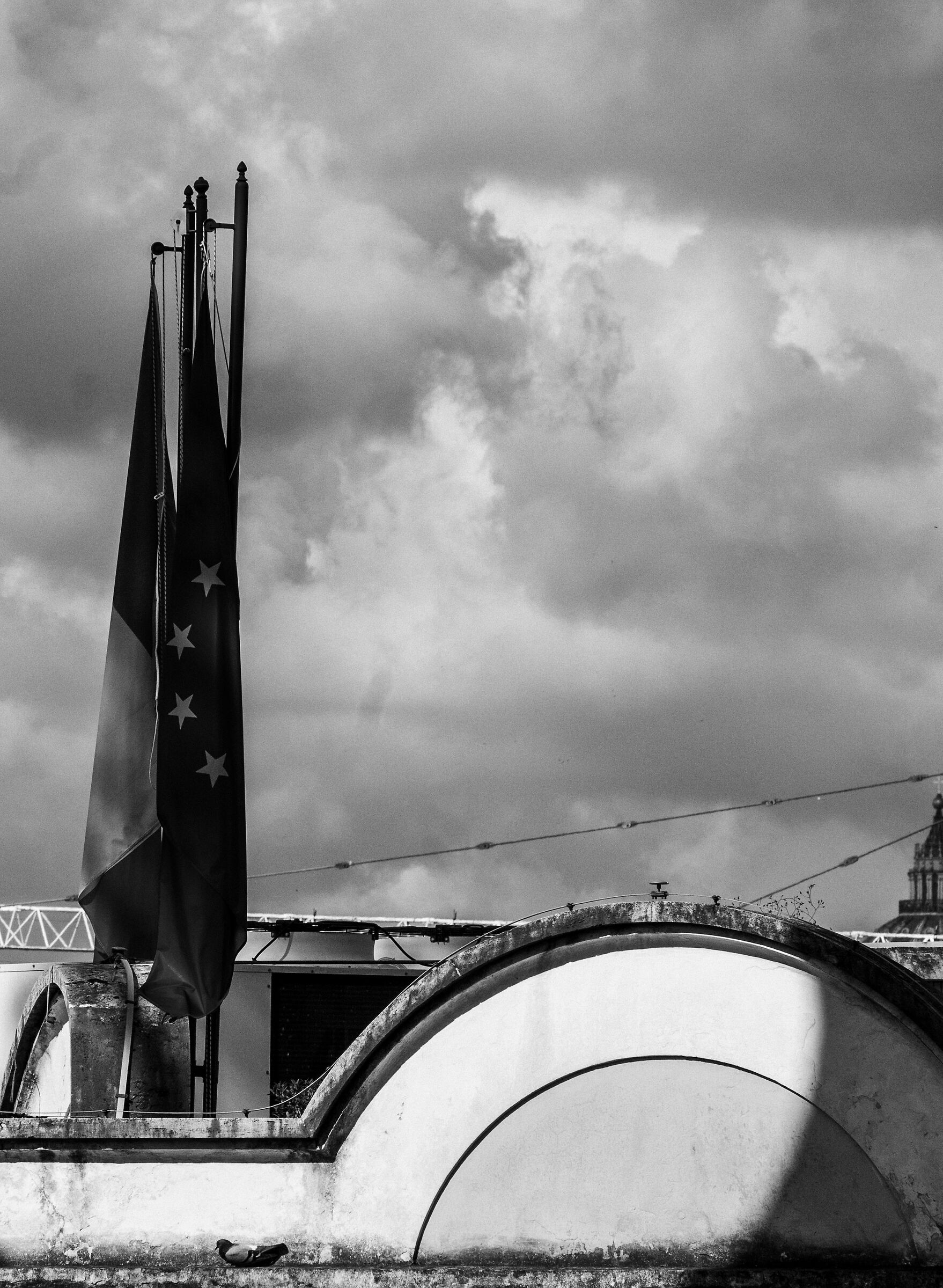 Flags and pigeon