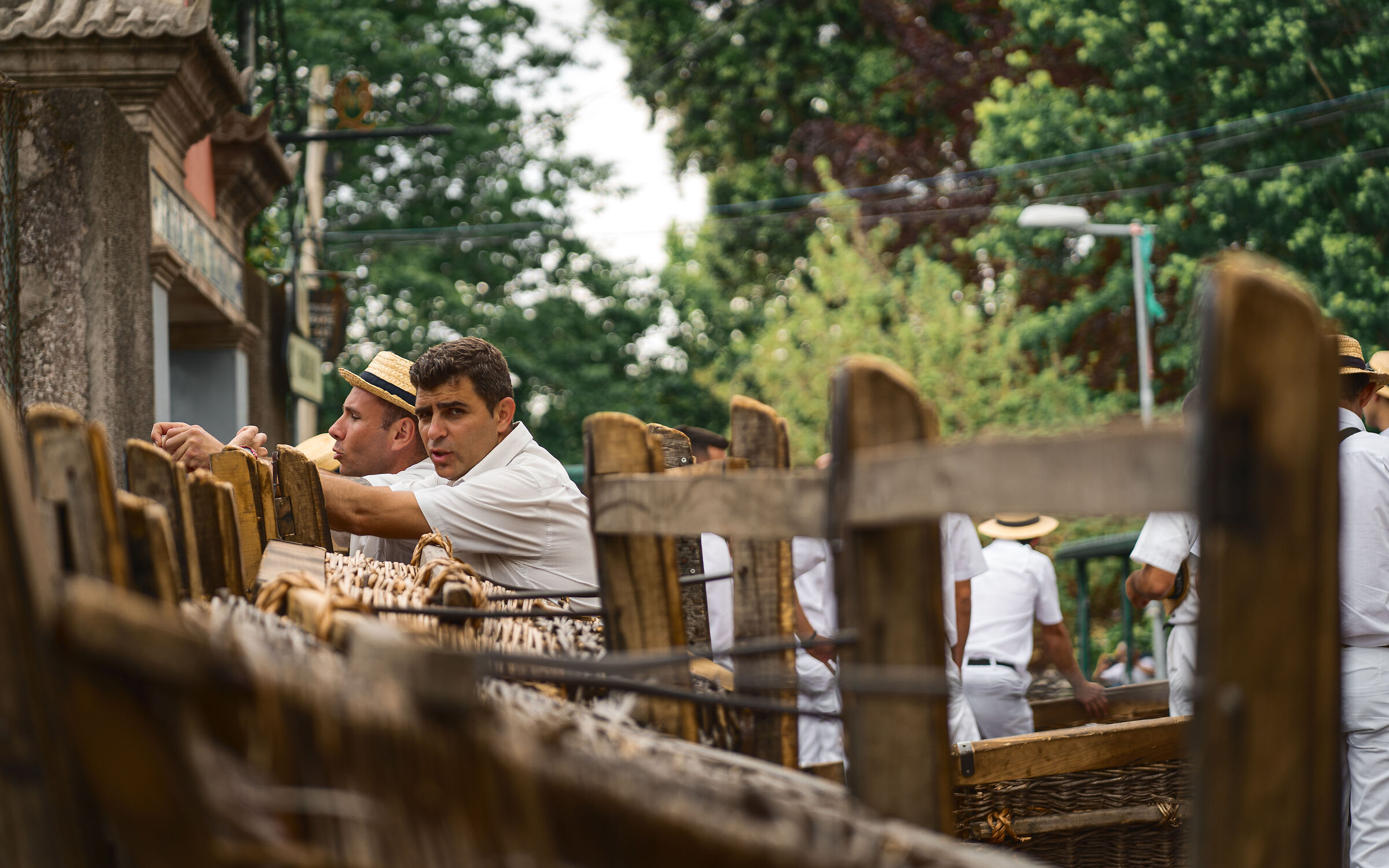 Ready for the mad(eira) ride