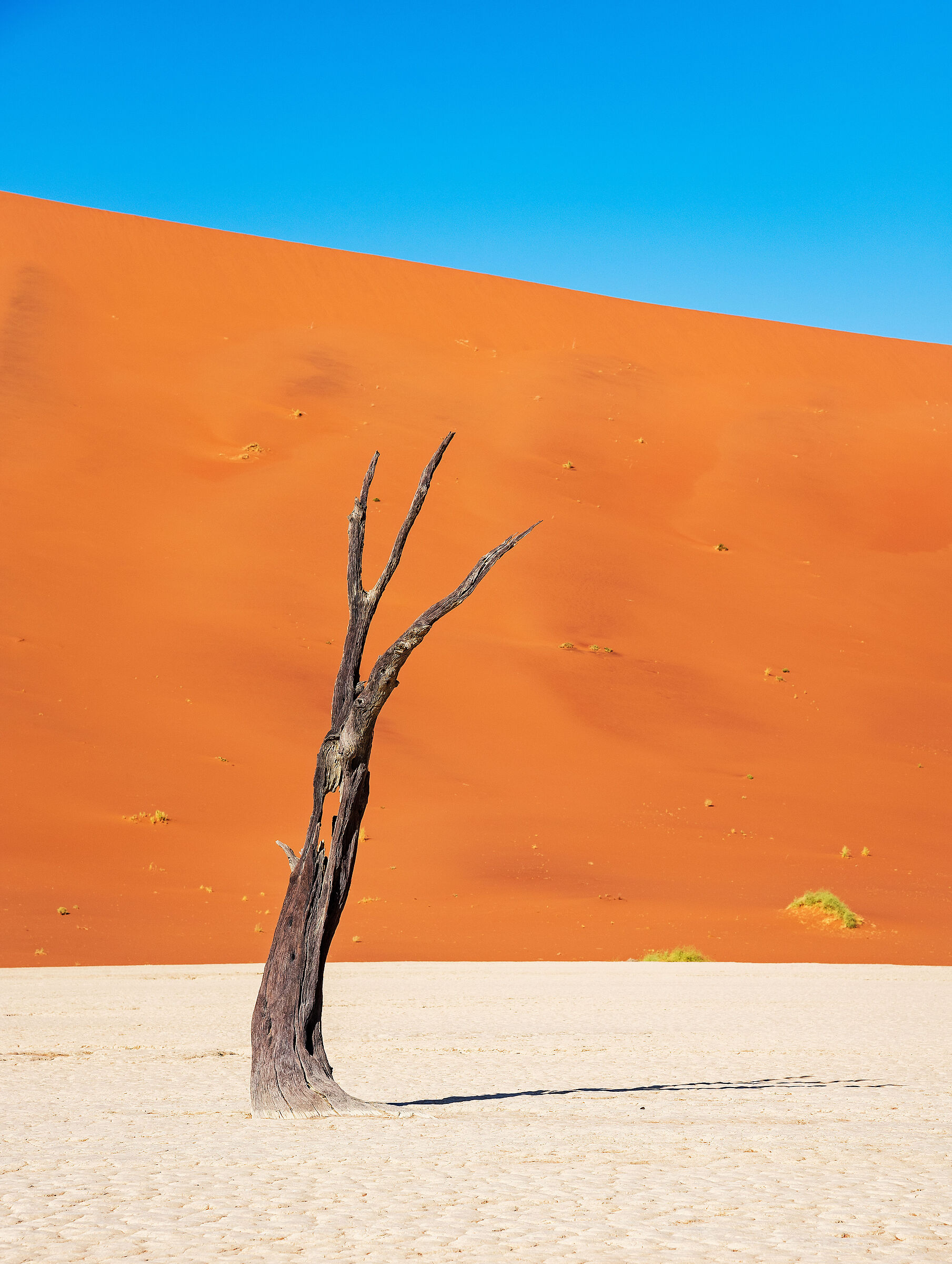 Gli spettri di DeadVlei_1