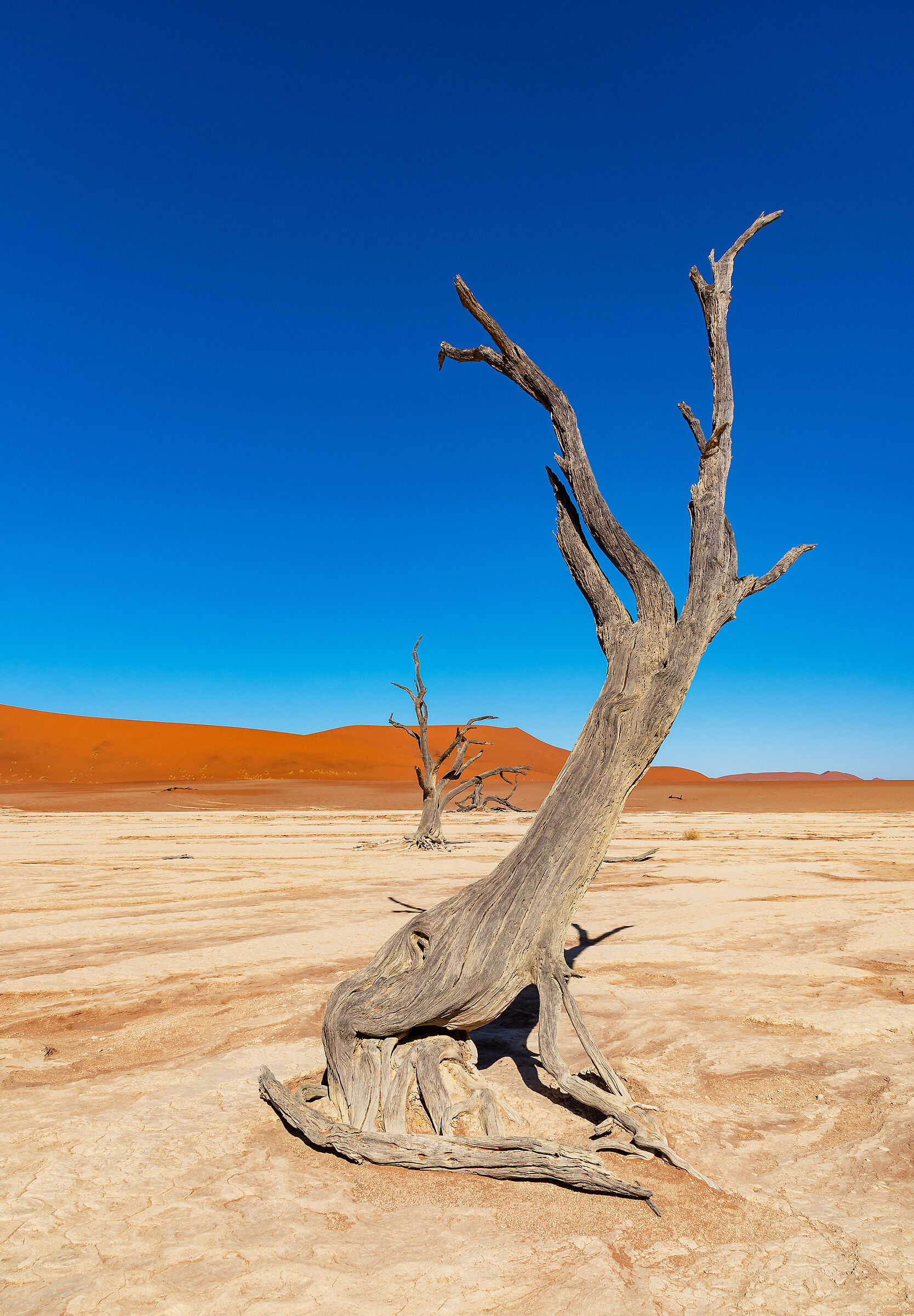 Gli spettri di DeadVlei_2