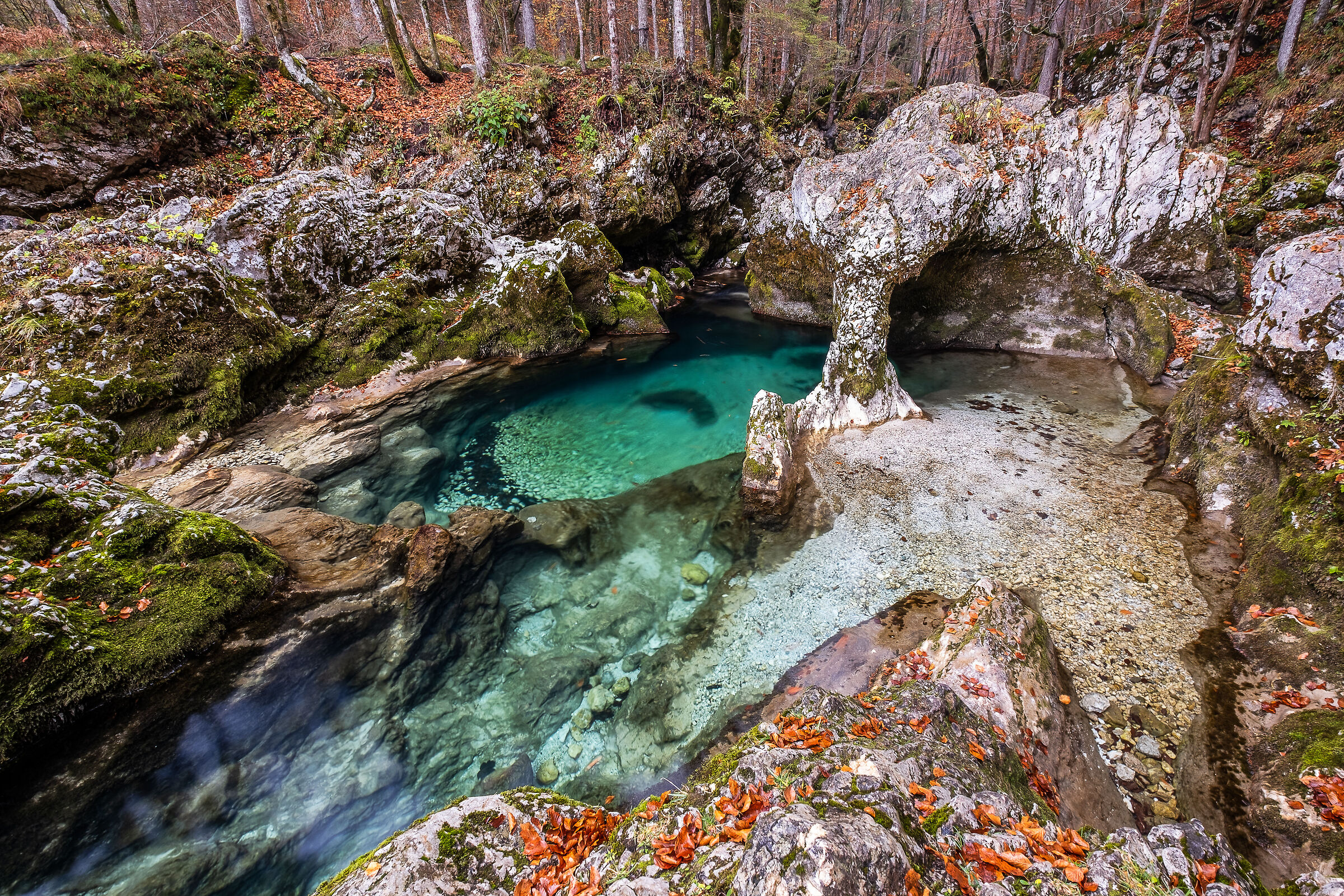 Bohinj - Roccia dell'elefante di Mostnice