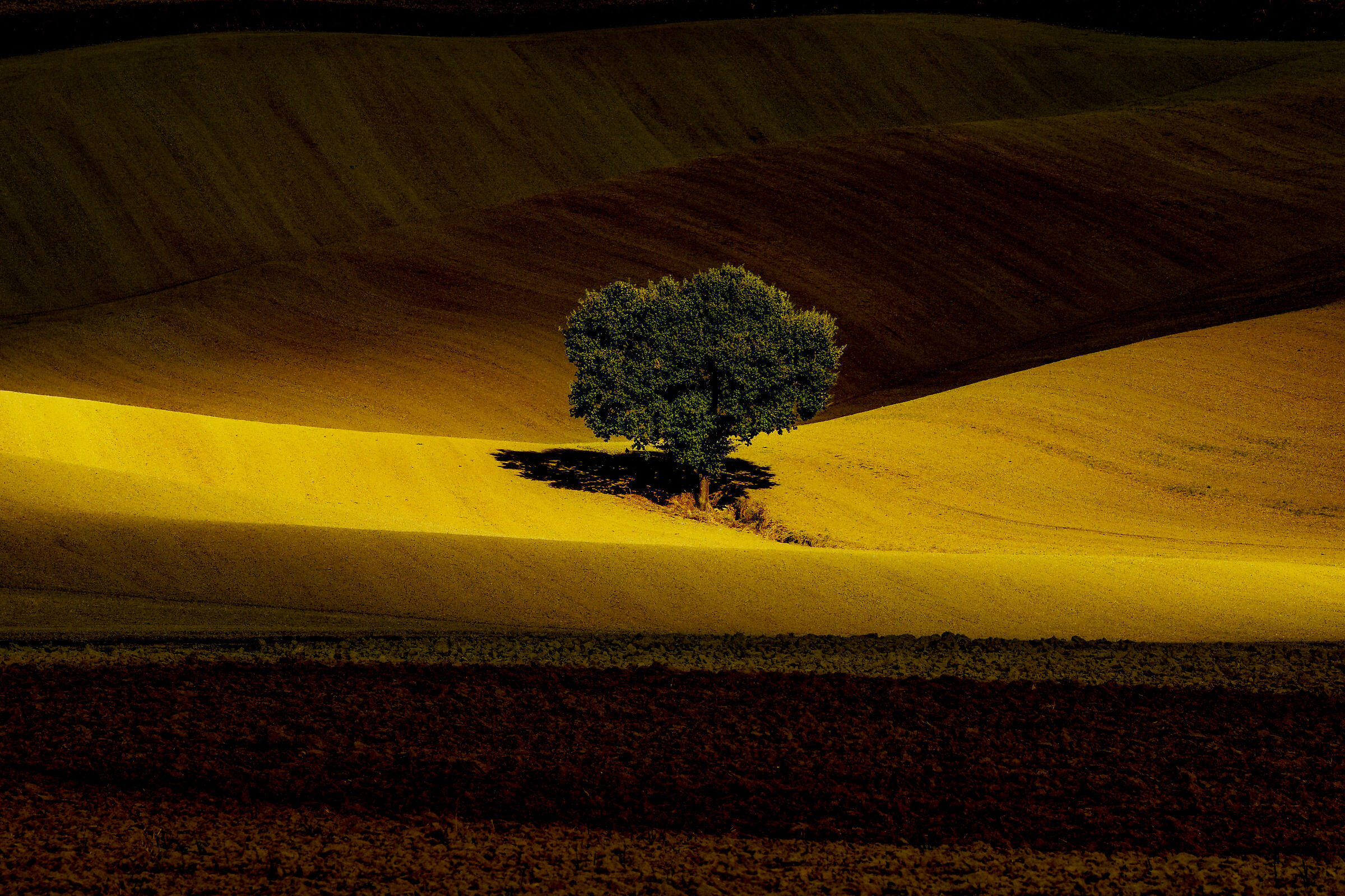 lights and shadows...