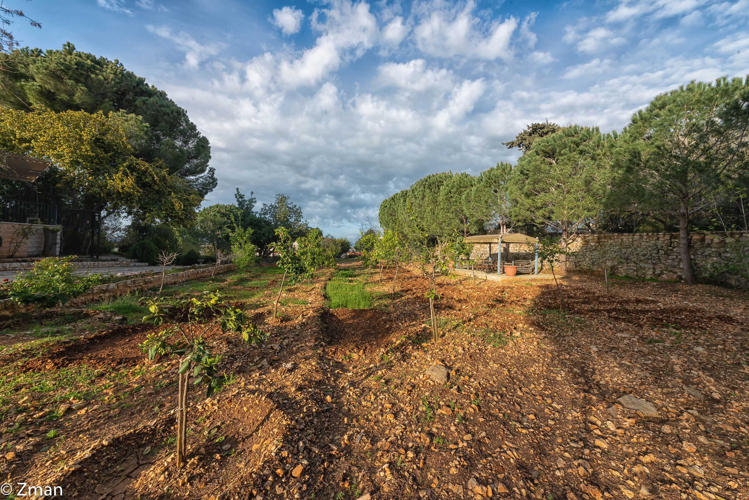 Azienda Agricola Biologica
