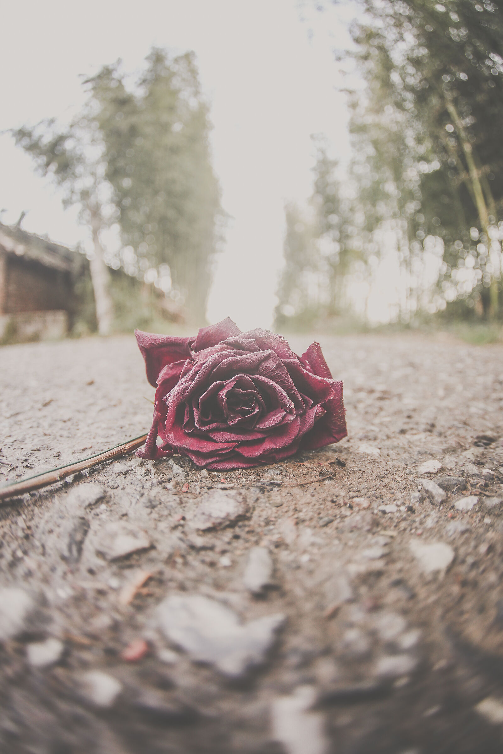 End of a love affair