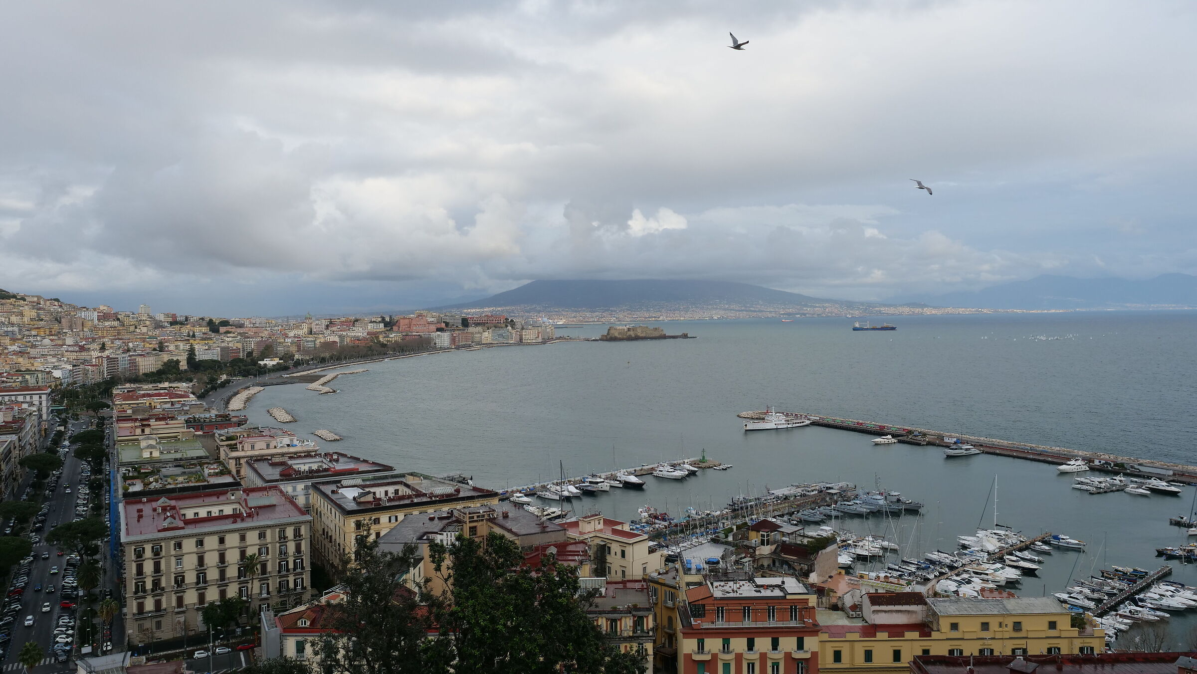 Dal golfo