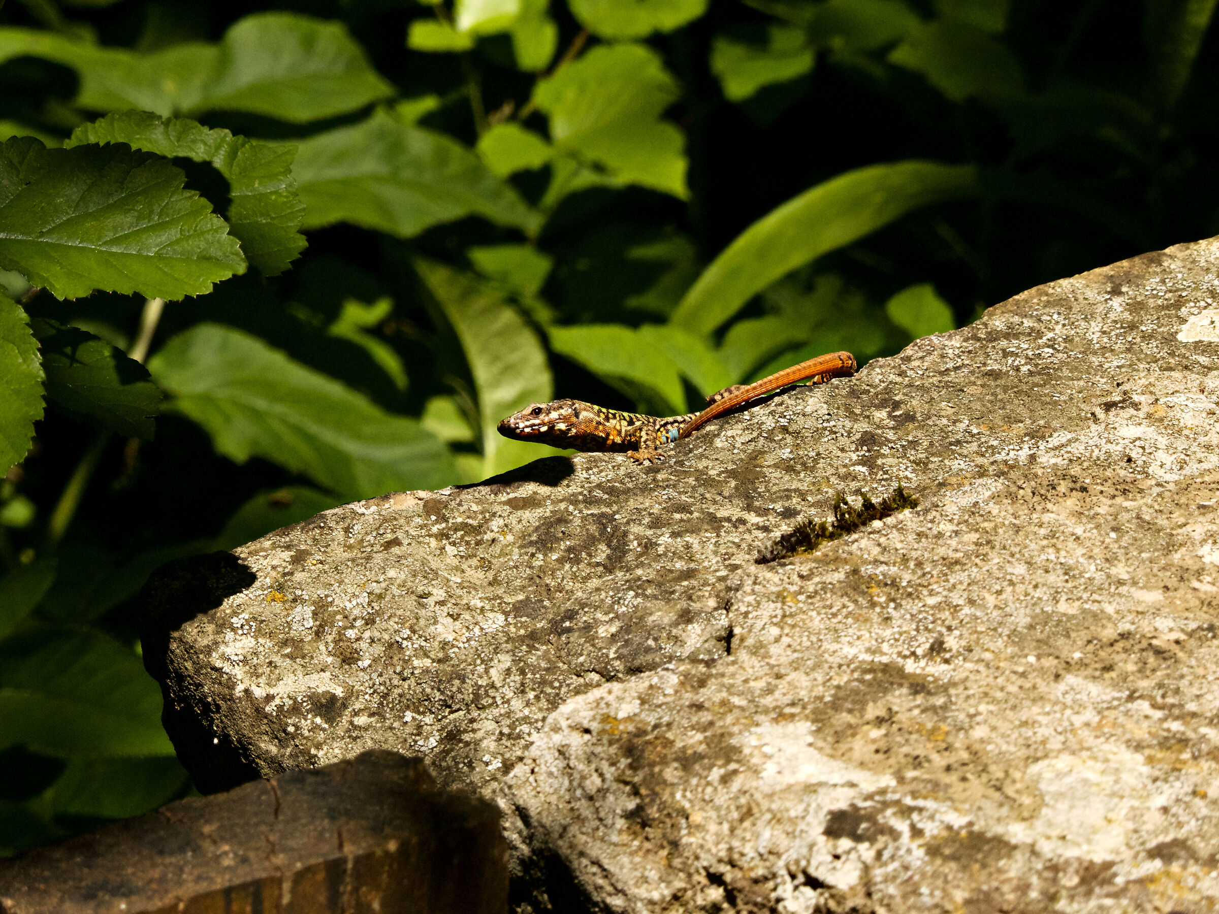 Warmth of the morning