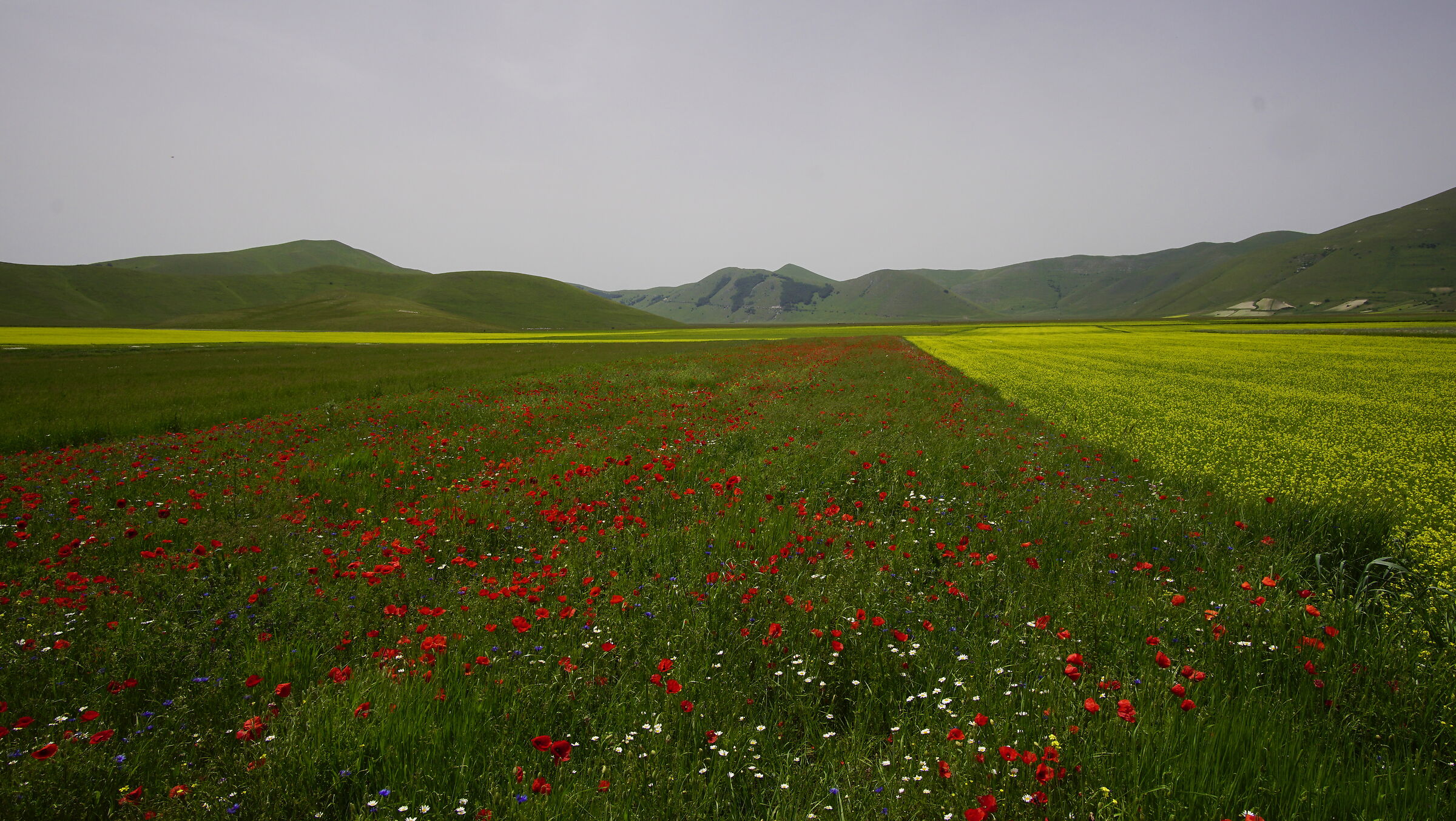 Piana di Castelluccio
