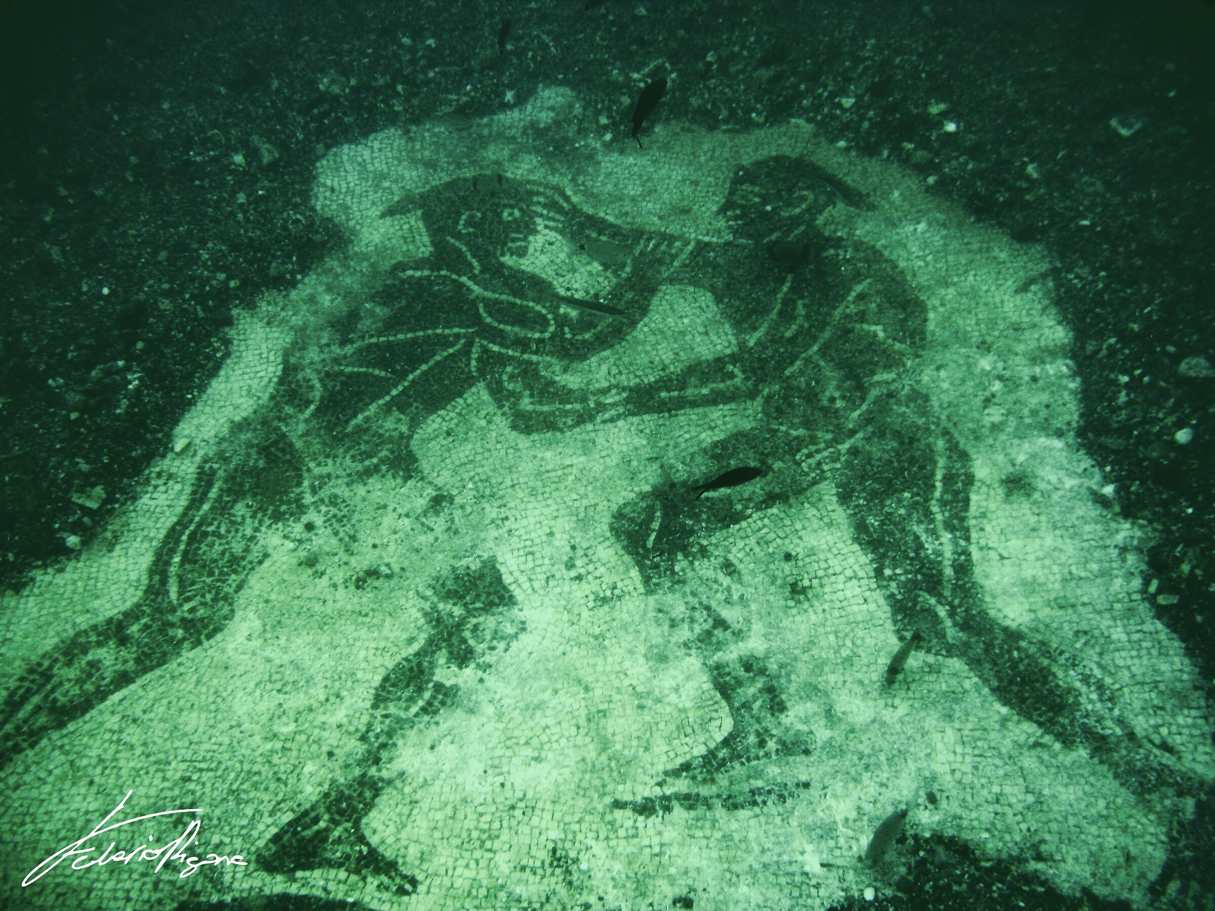 Archaeological Centre of "Baia"