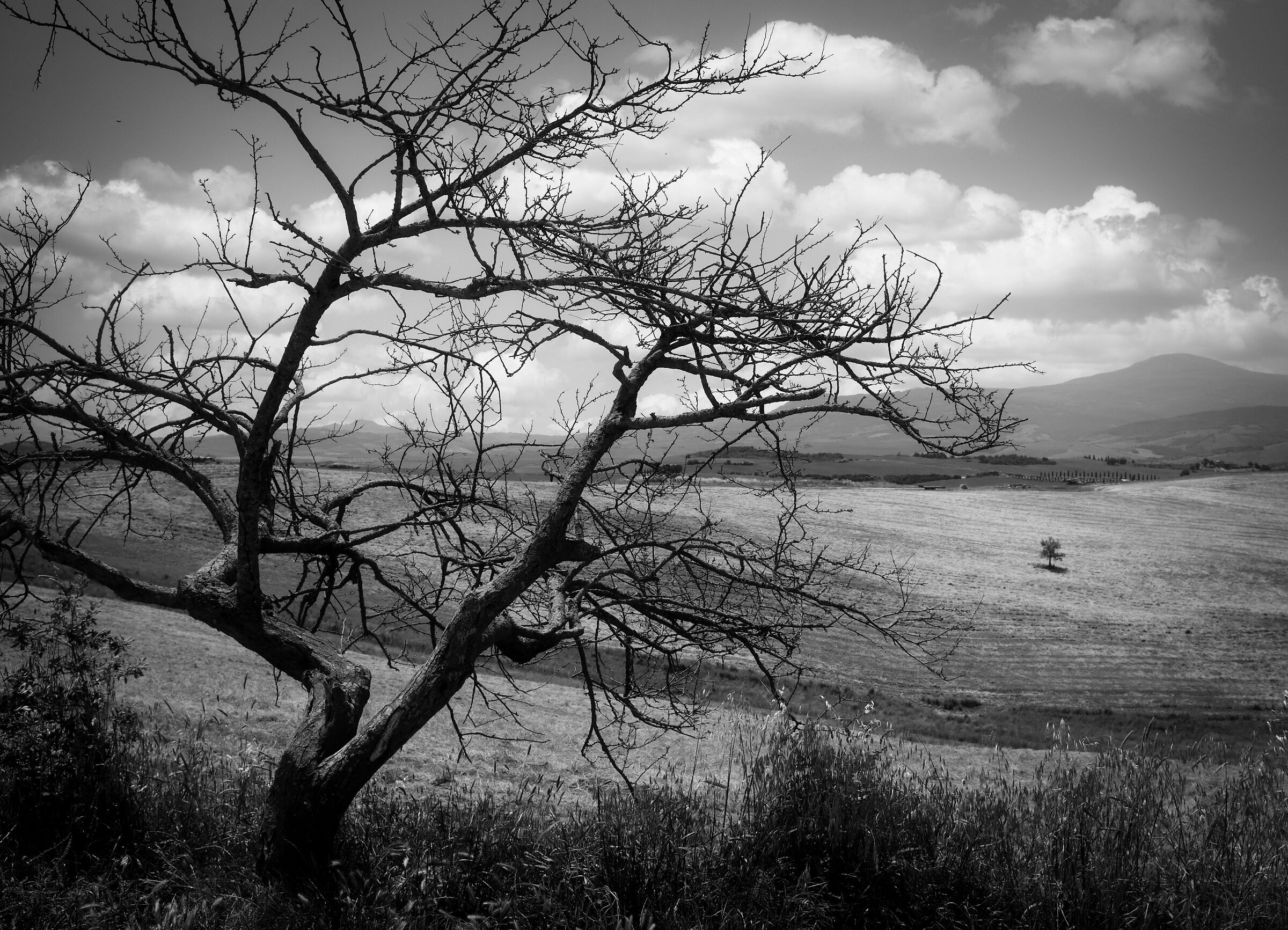 Val D'orcia