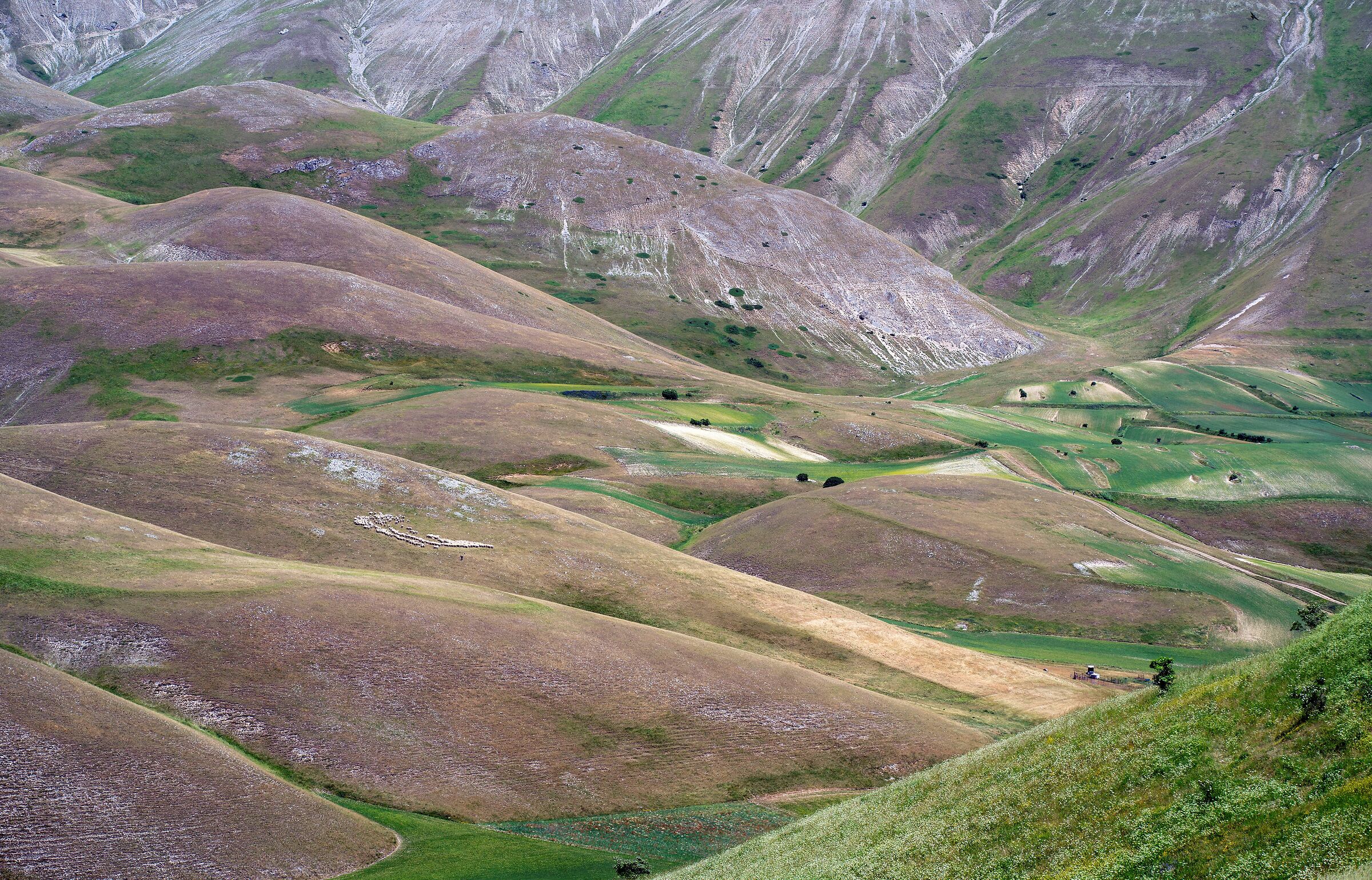 Castelluccio di Norcia