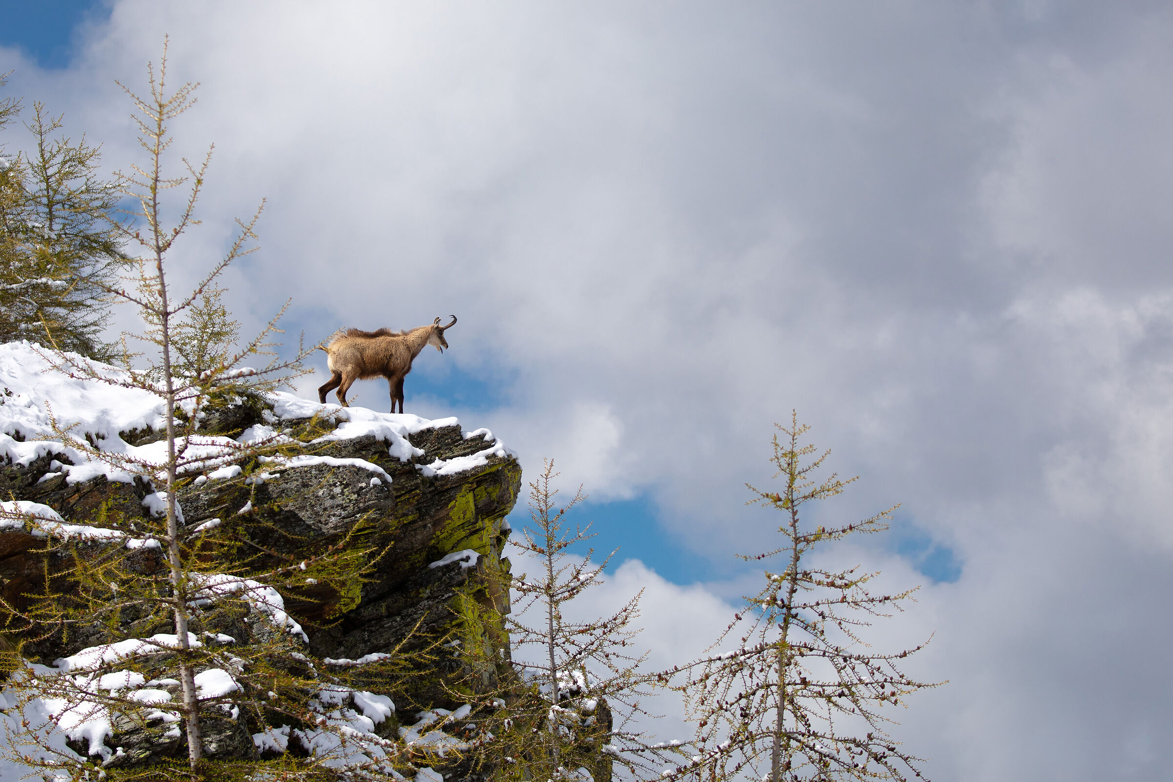quant'é bella la mia valle