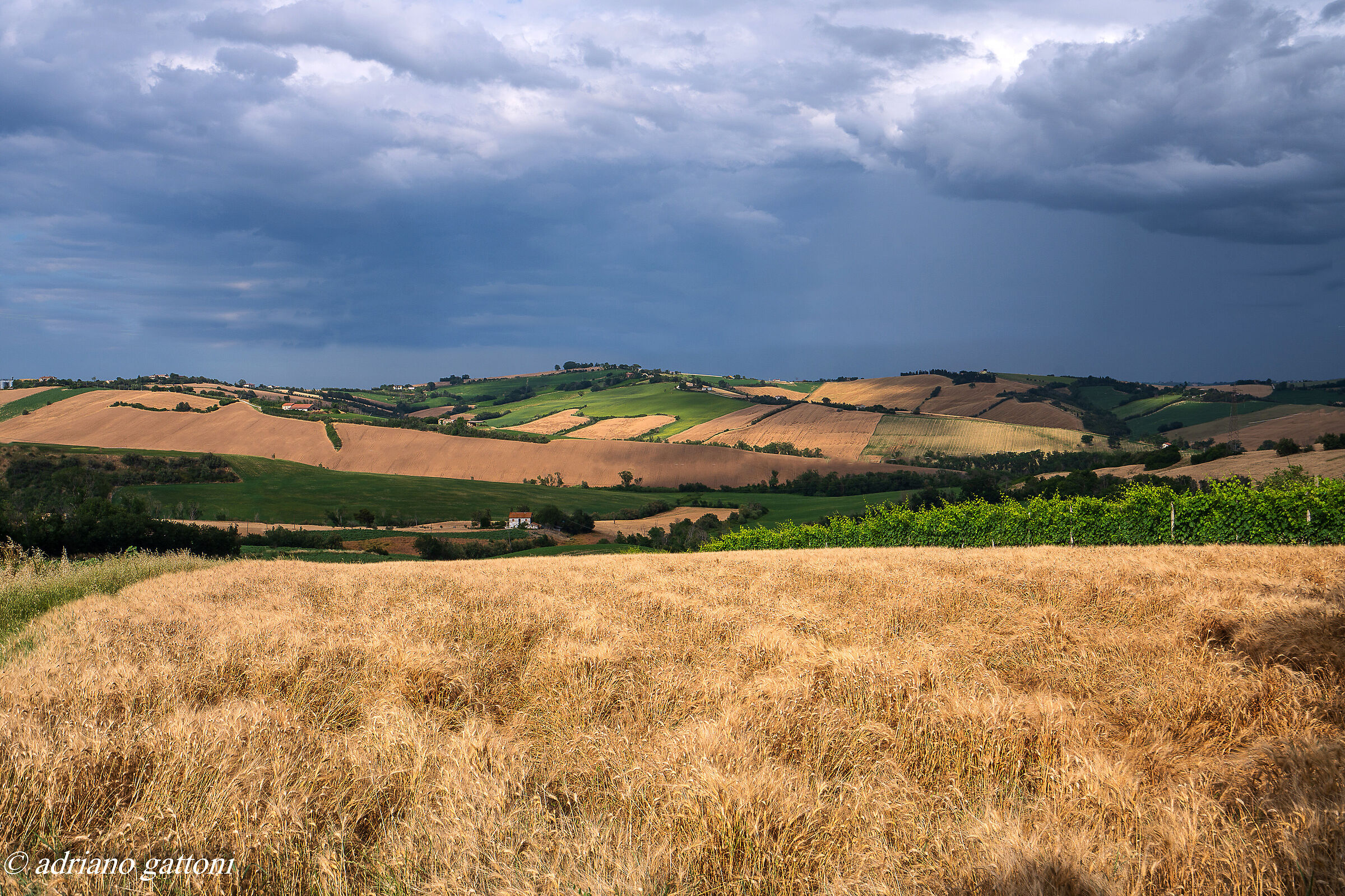 La mia ... val Metauro ...