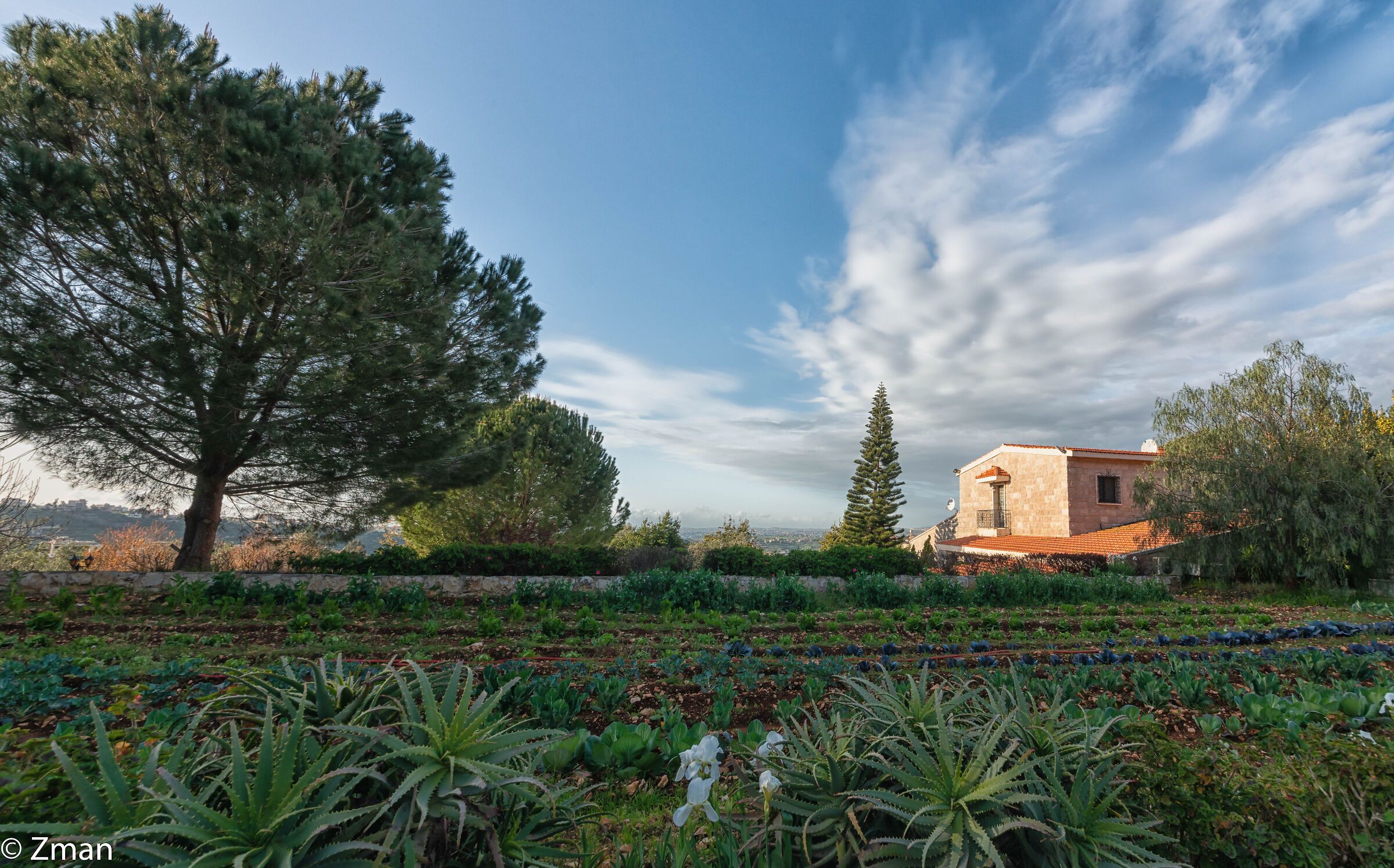 Intorno a casa nostra