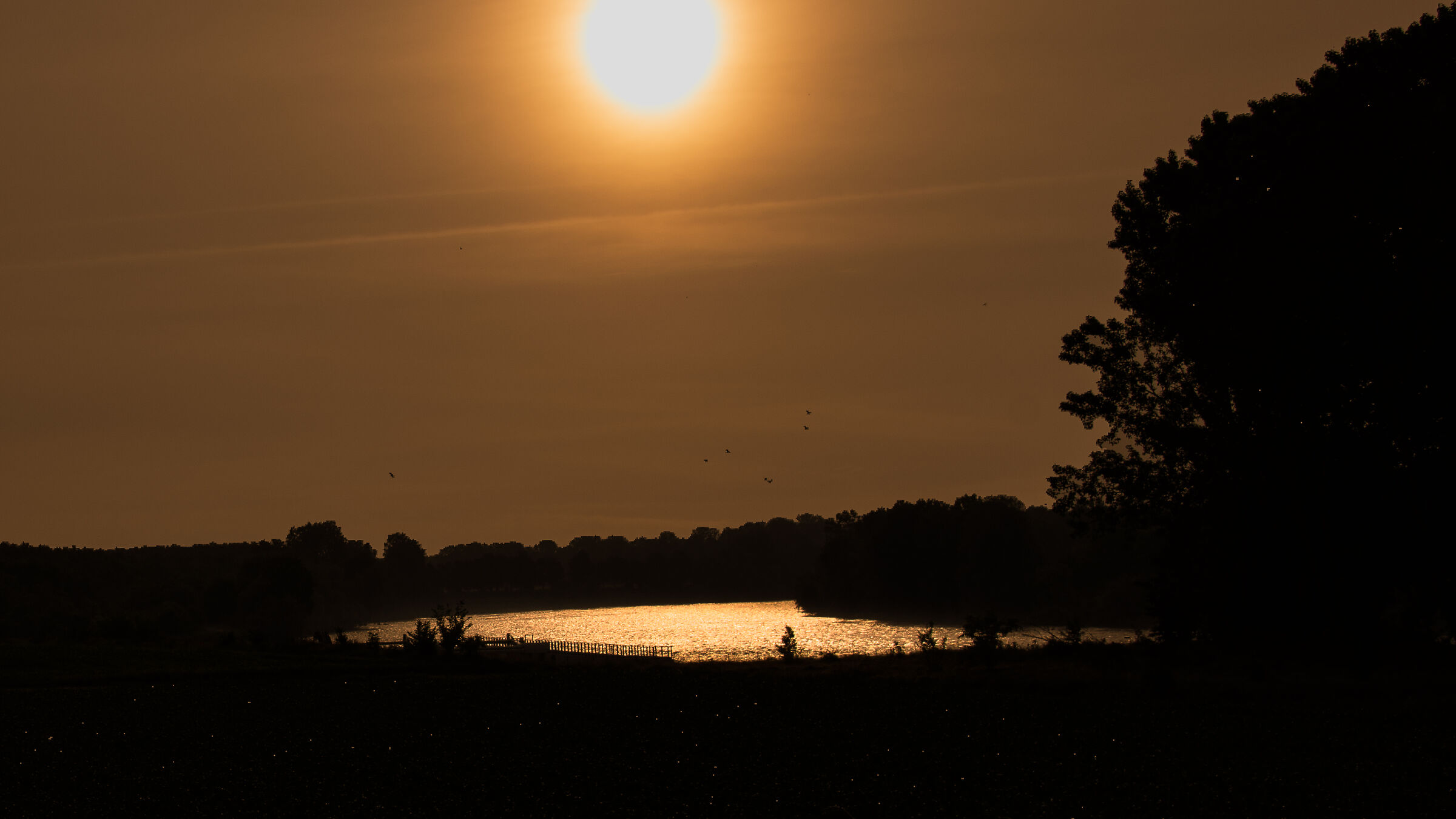 In the morning on the Po