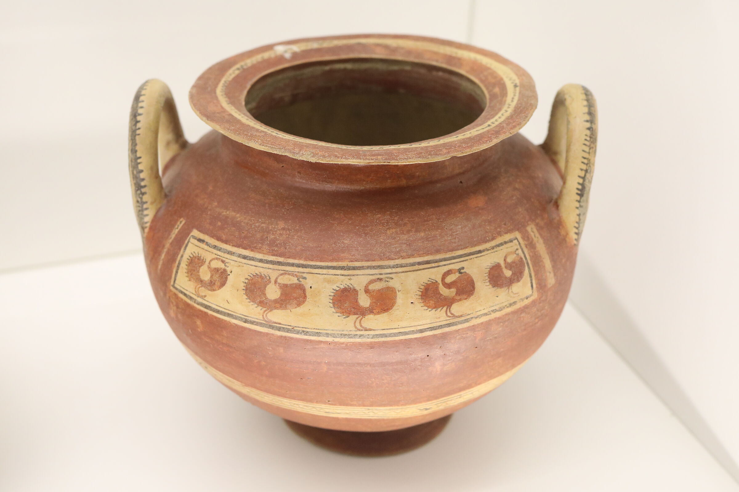 " ISO 6 Mila 400 " Canon 5 D IV- Milvus Zeiss 50, 1.4