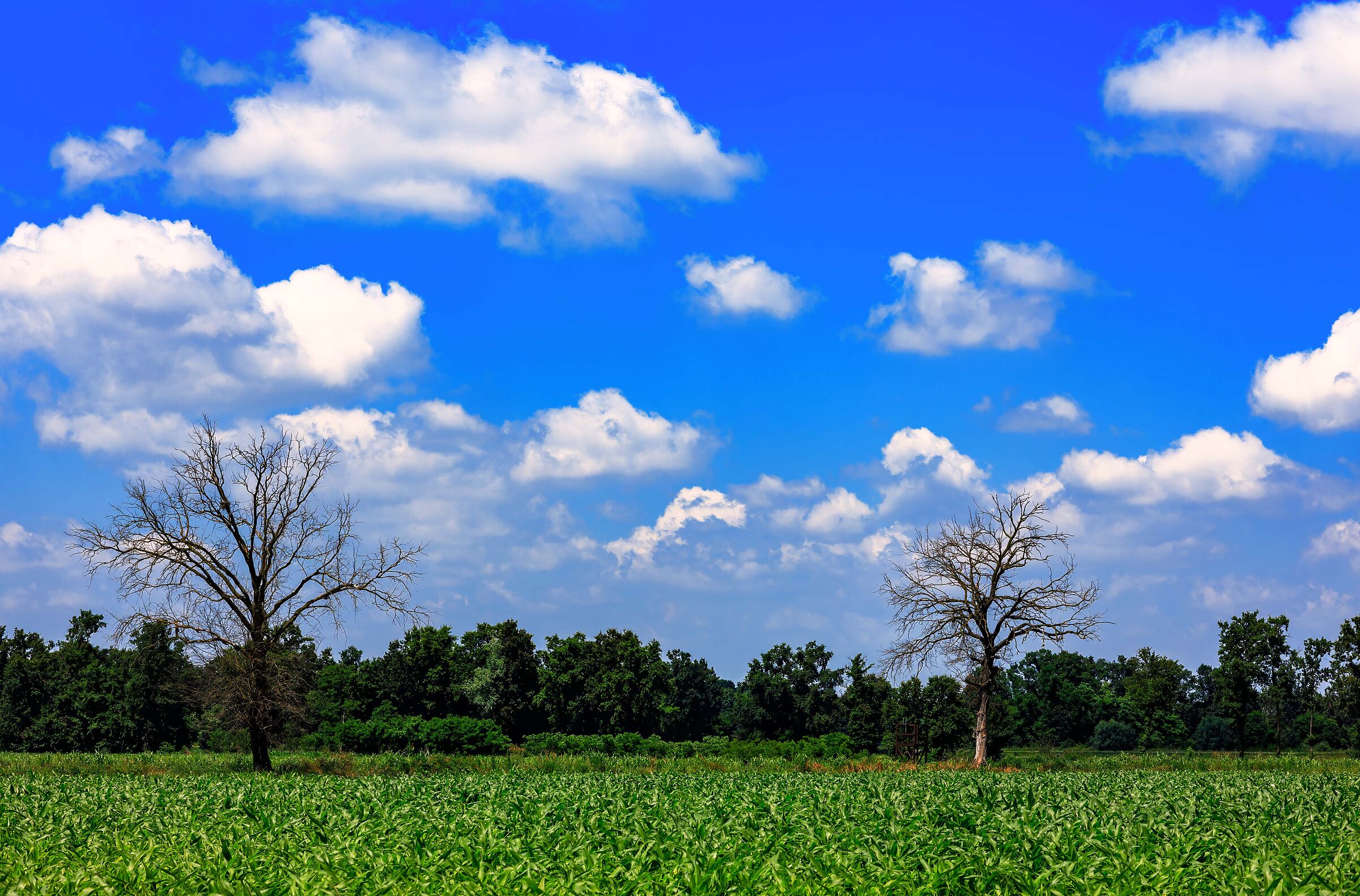 La morte e la vita rimangono uguali.......