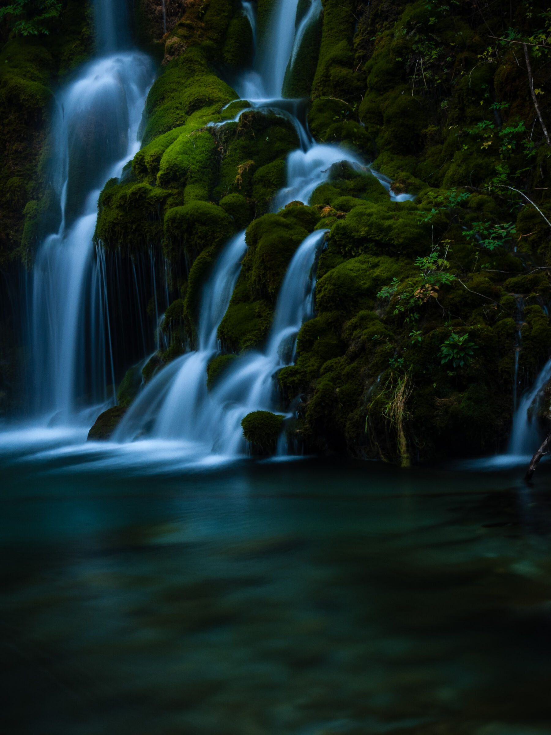 Waterfall Hair of Venus