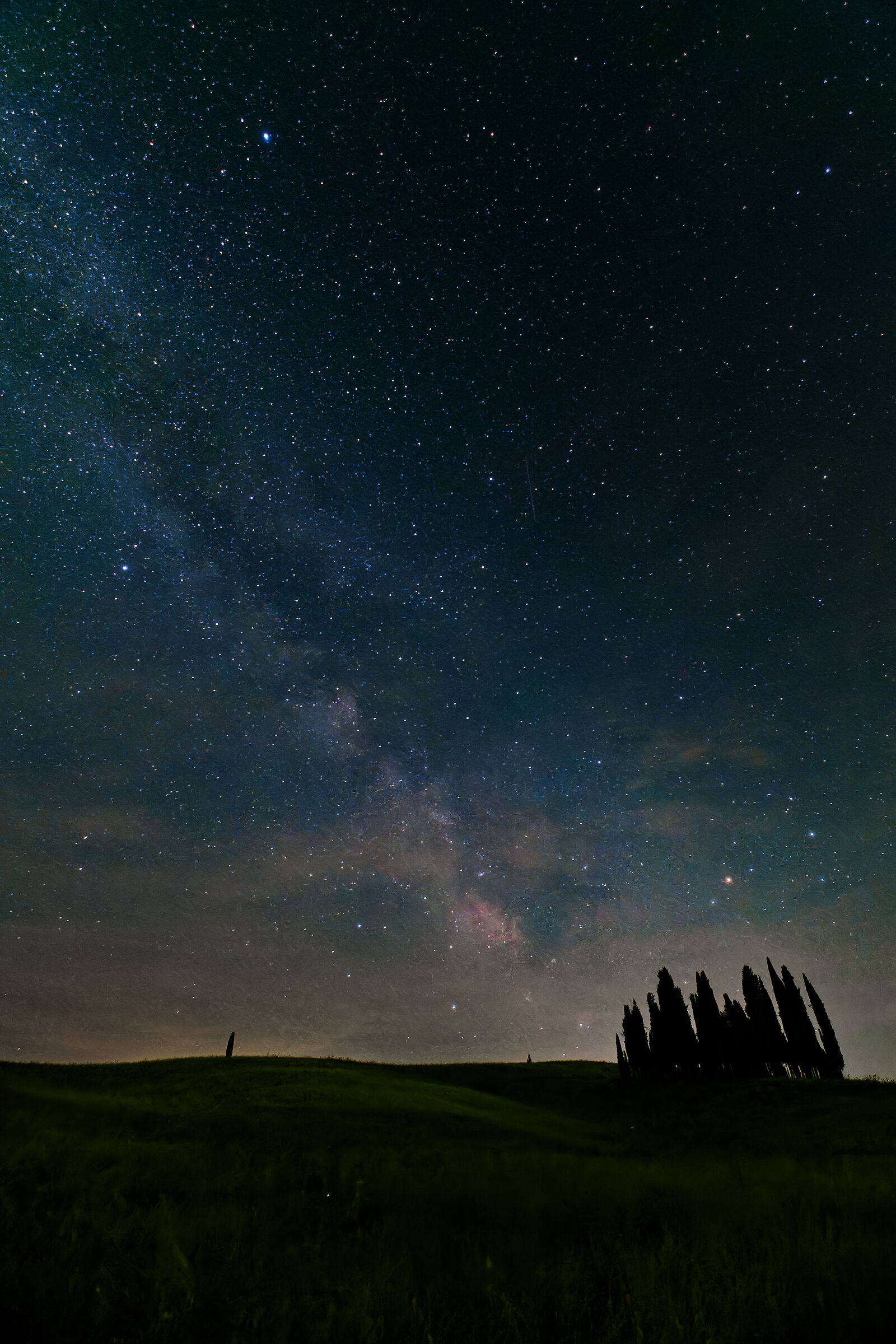 Cipressi sotto le stelle