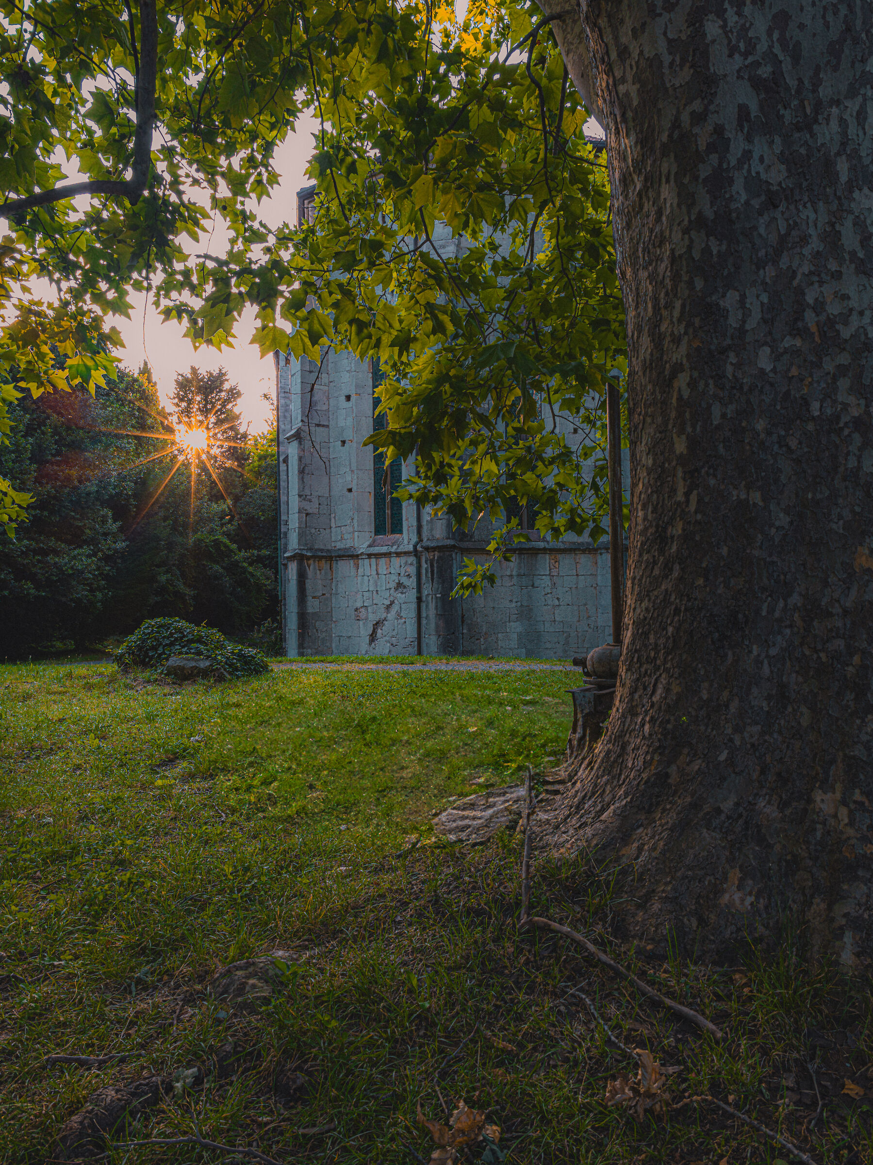 That glimmer of hope....