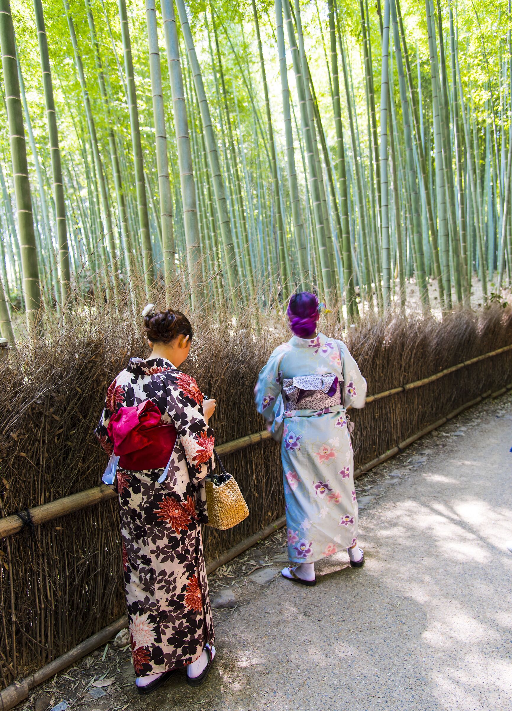 Geisha , Arashiyama Bamboo Forest