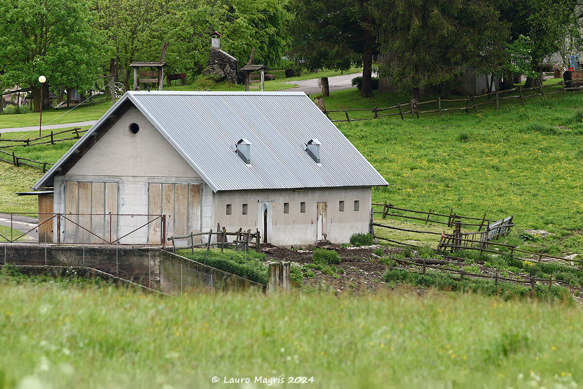 Shelter of the Queues