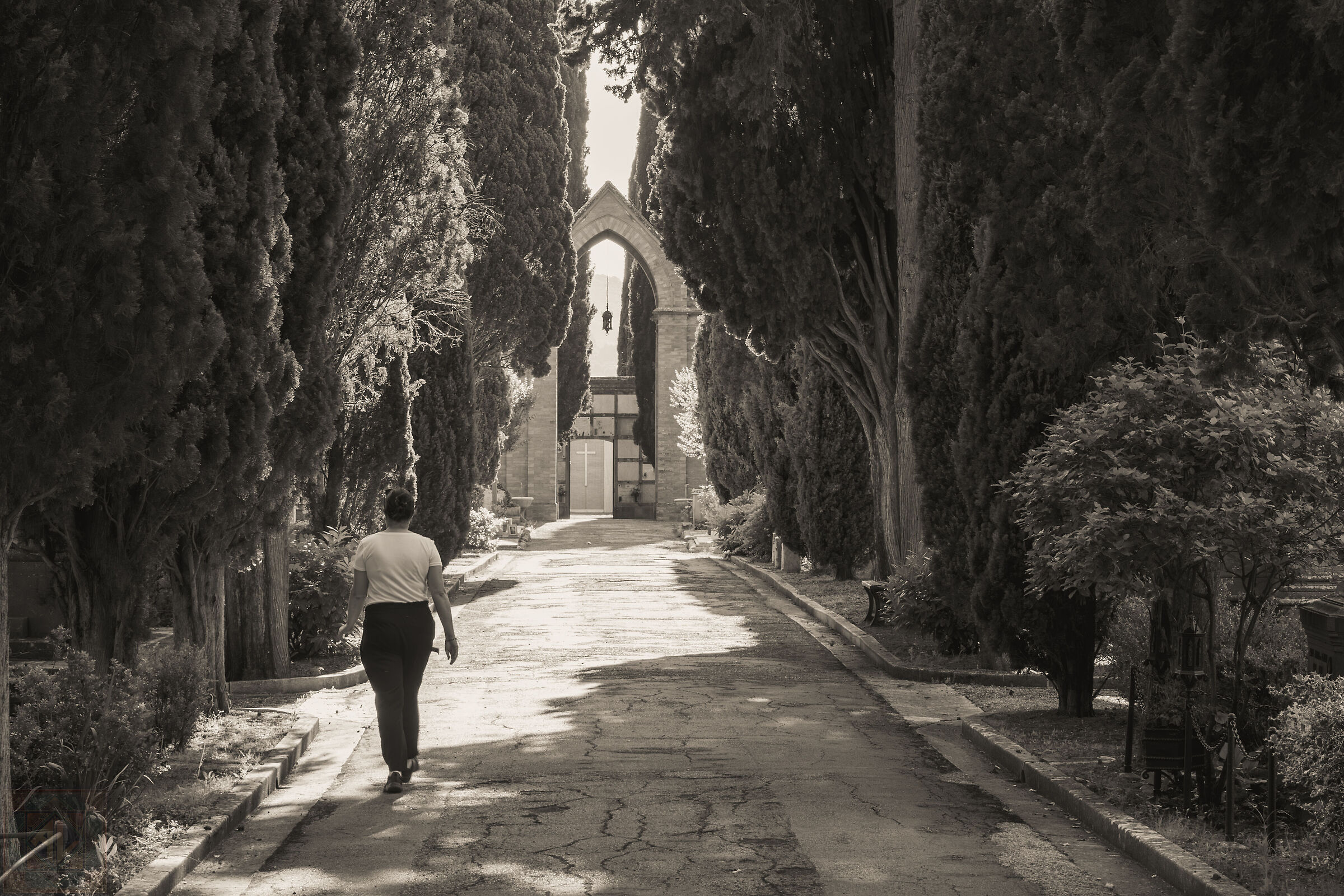 A walk down memory lane