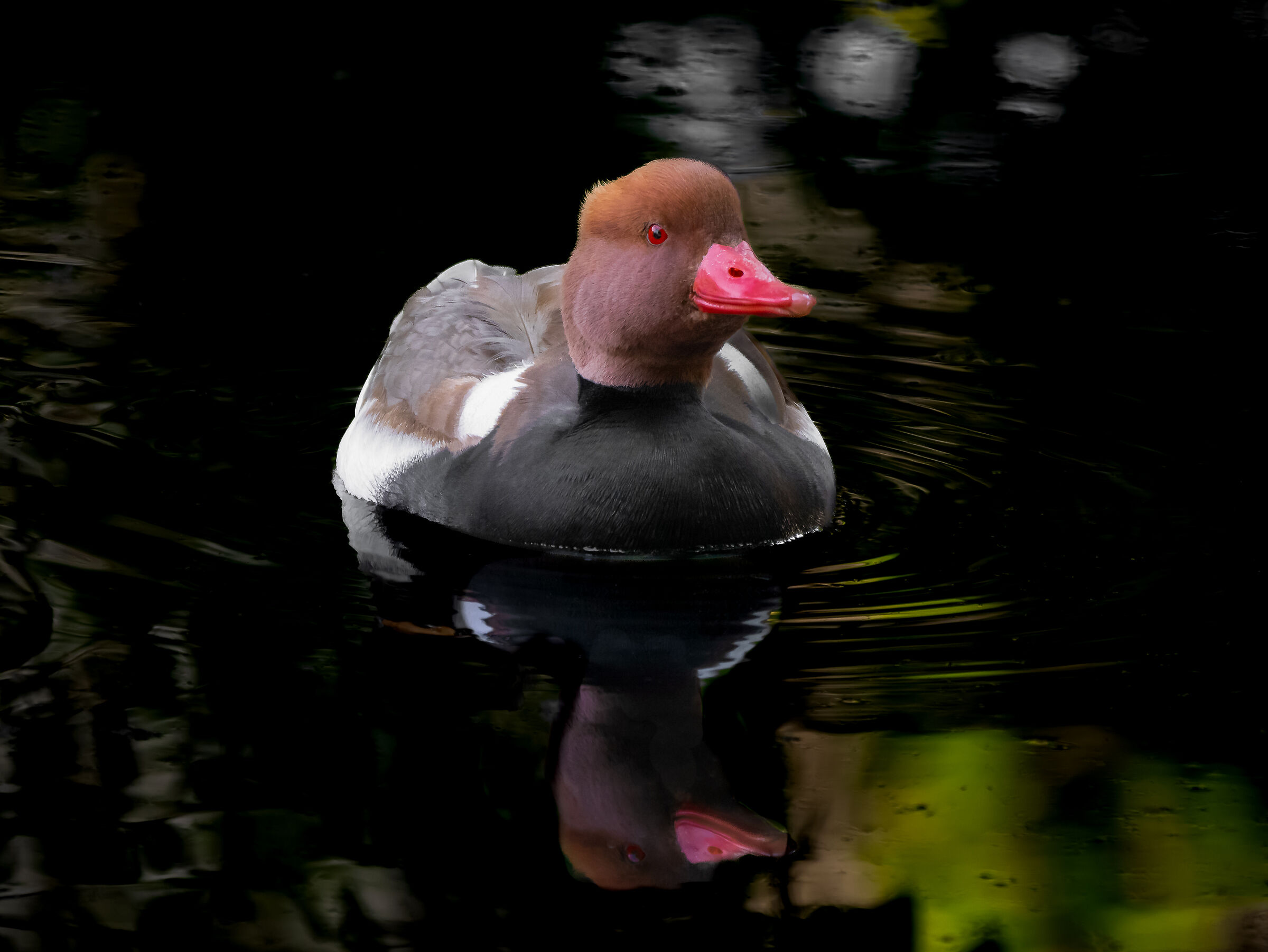 Dark version of Fistion...