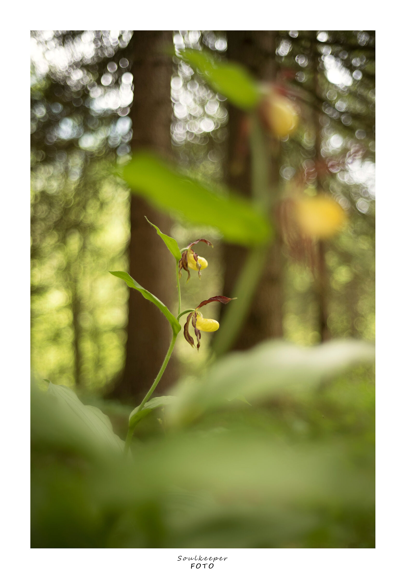 Underwood street photography...