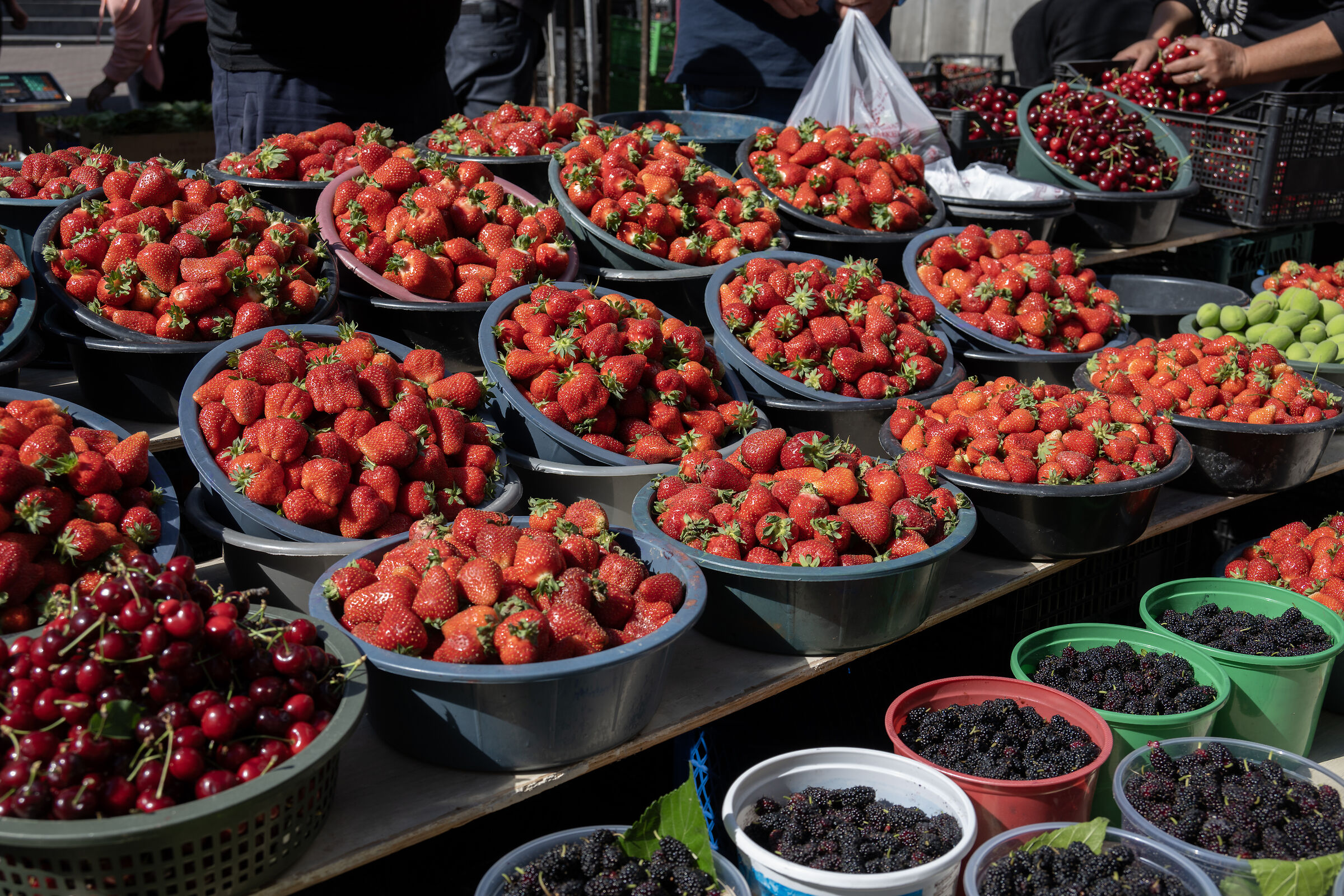 Armenia 2024 - Al mercato di Erevan